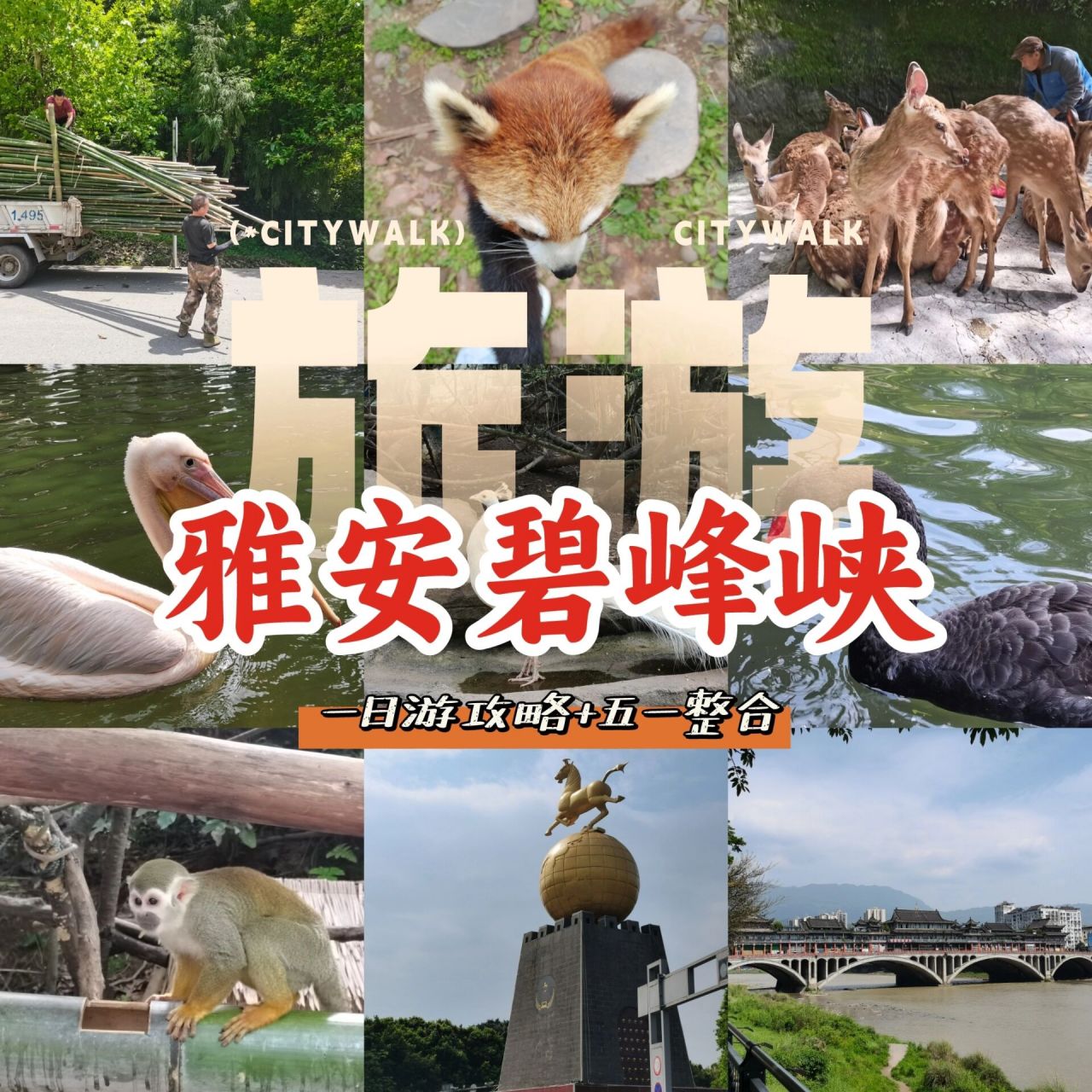 99碧峰峡必看攻略 99雅安碧峰峡野生动物园 【碧峰峡景区分为