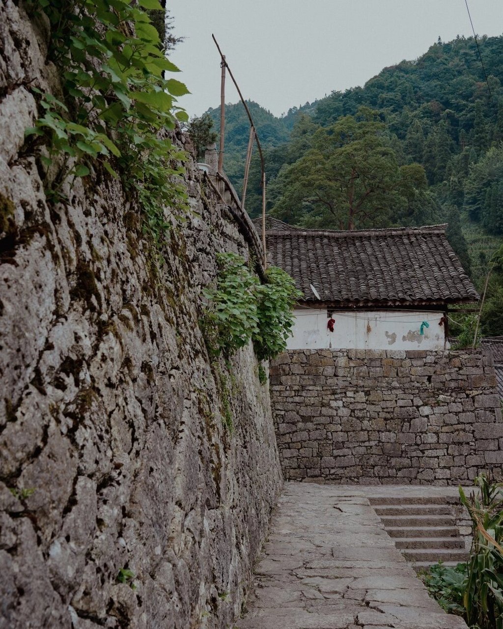 昭通|湾子苗寨9490 73湾子苗寨村位于云南省昭通市威信县水田乡