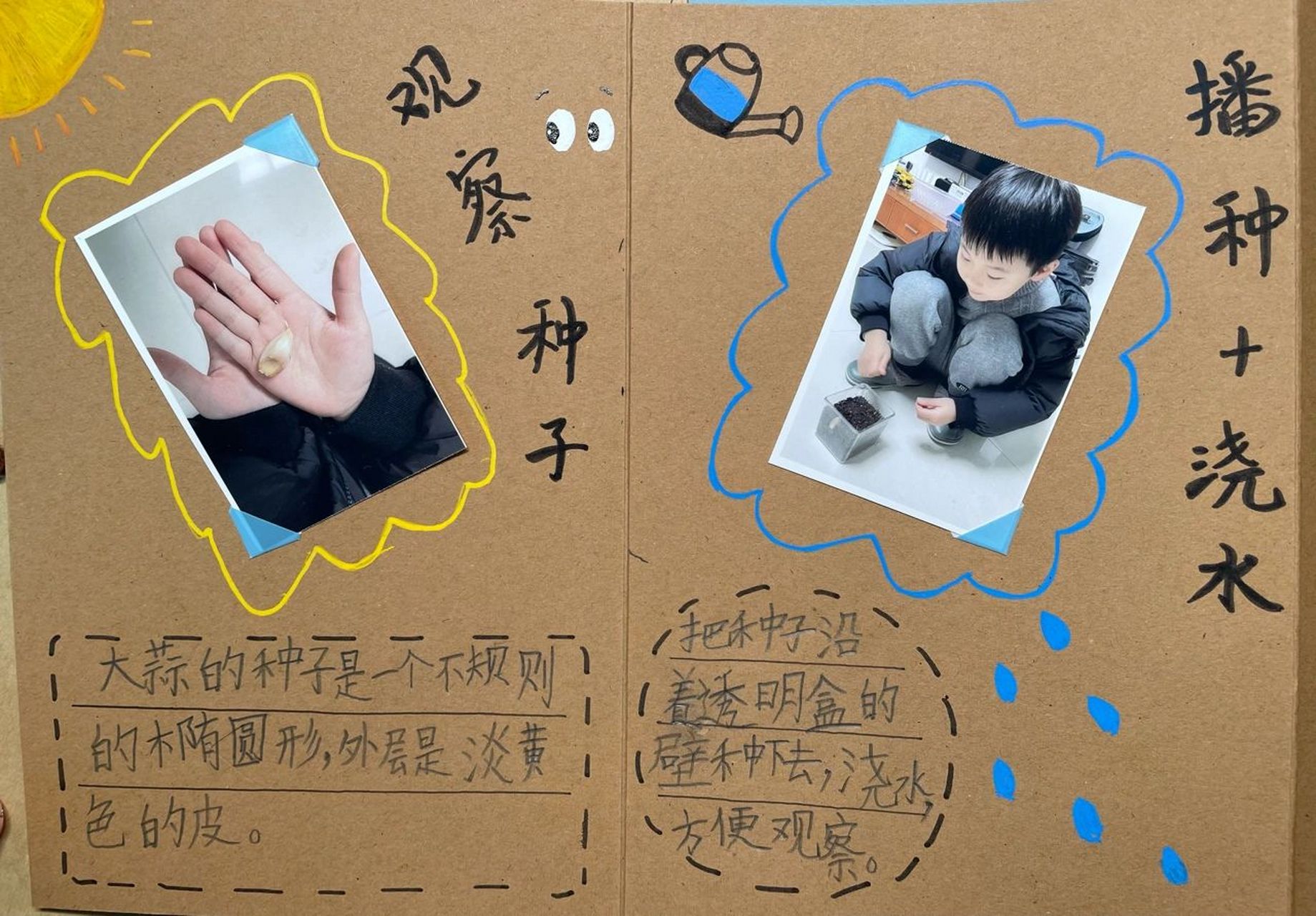 一年级小学生 | 植物生长观察日记·大蒜 这是一年级上学期孩子的寒假