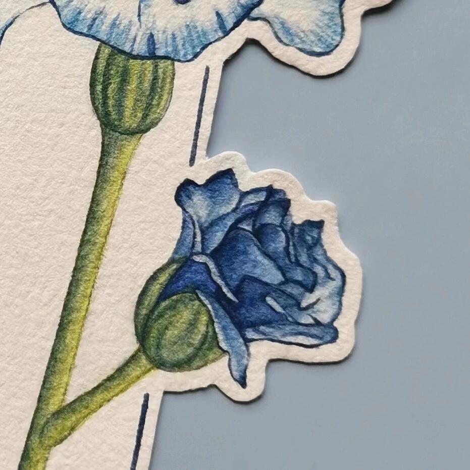 水彩97康乃馨书签 979797