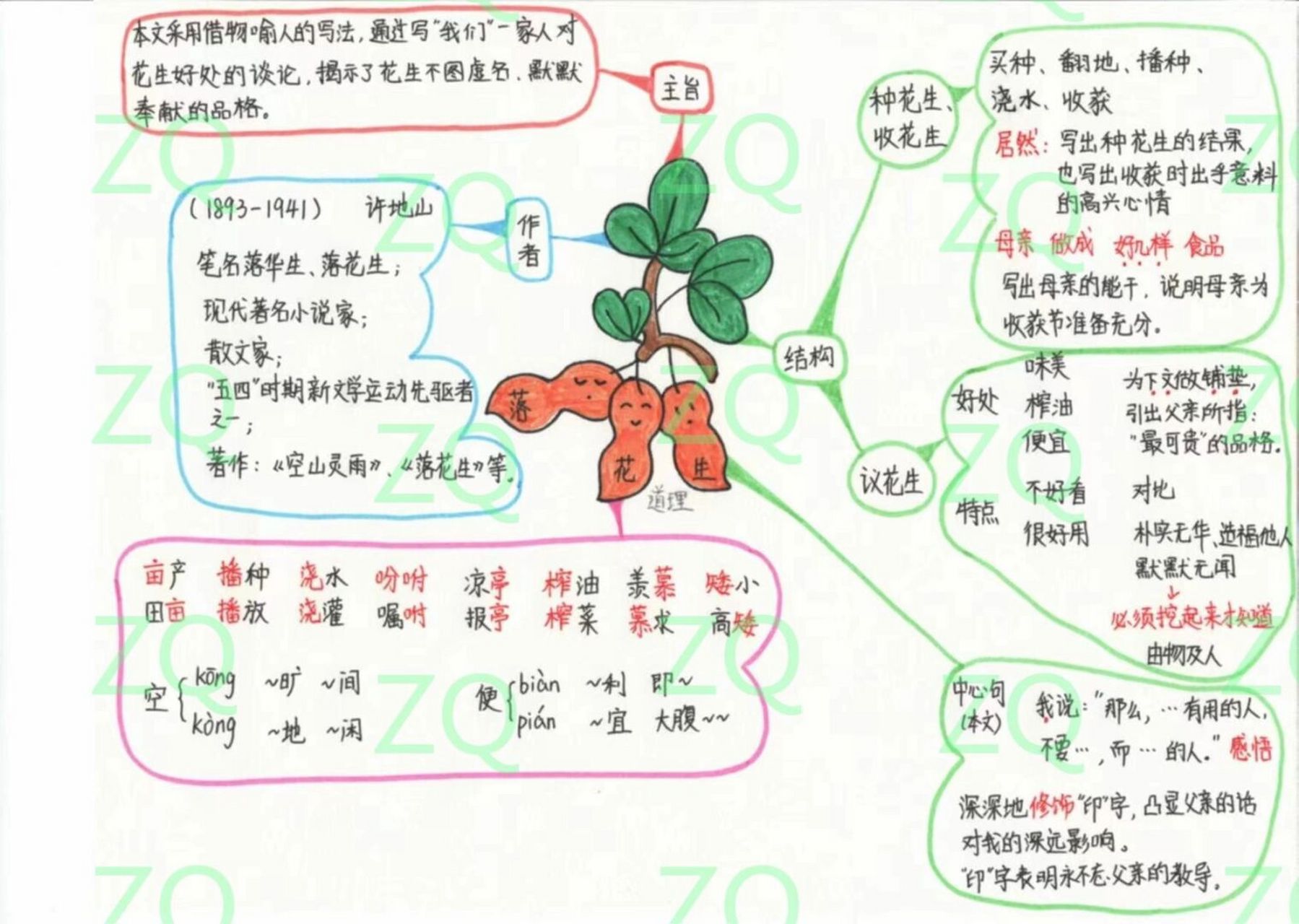 落花生新颖板书设计图图片