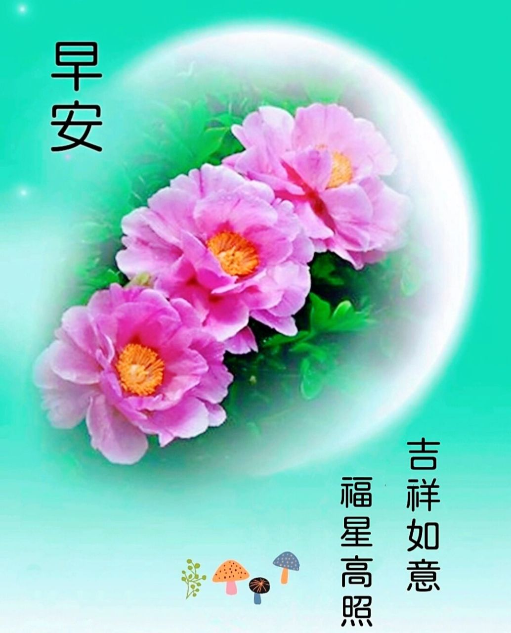 早安问候图片 有幸相遇,惟愿珍惜; 遇见真你,还见真我!