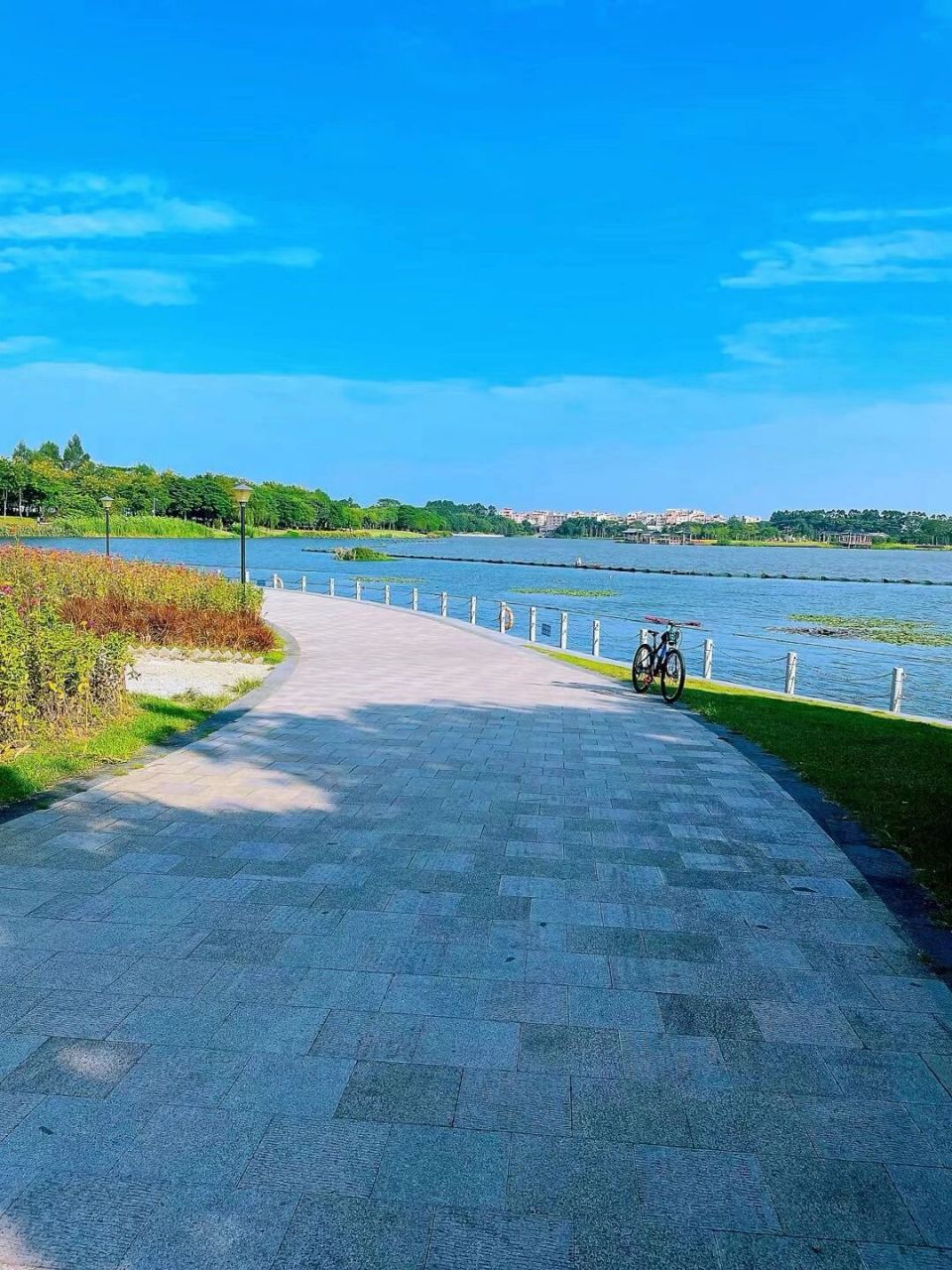 99白云湖水利风景区