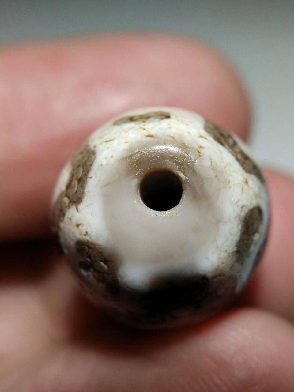 高油润藏传火供钙化至纯达洛虎牙莲花天珠,通体白化白芯,泌色唯美老味