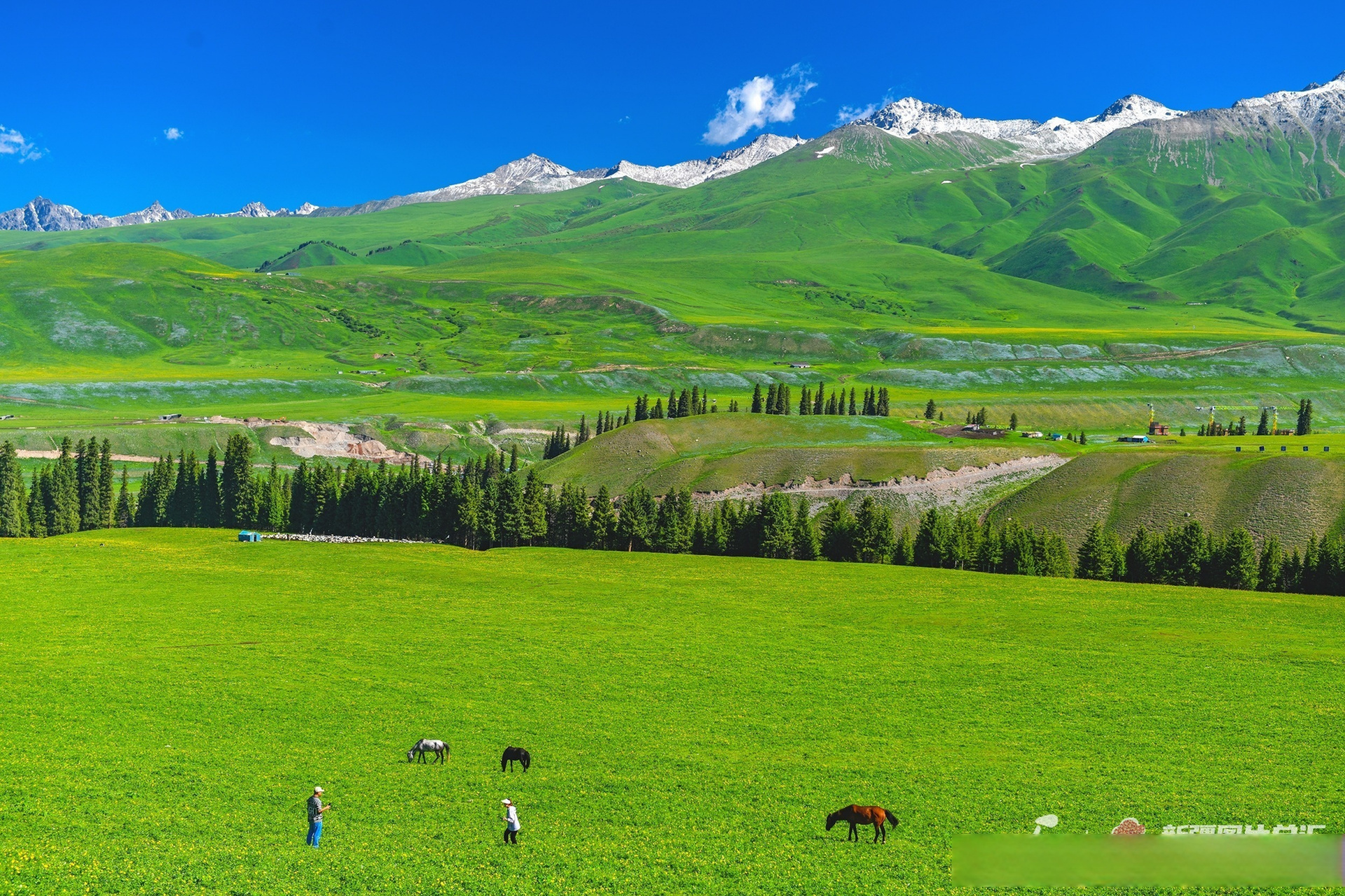 小新带你云游新疆 #就爱旅行#  盛夏时节,游客在和静县巩乃斯国家
