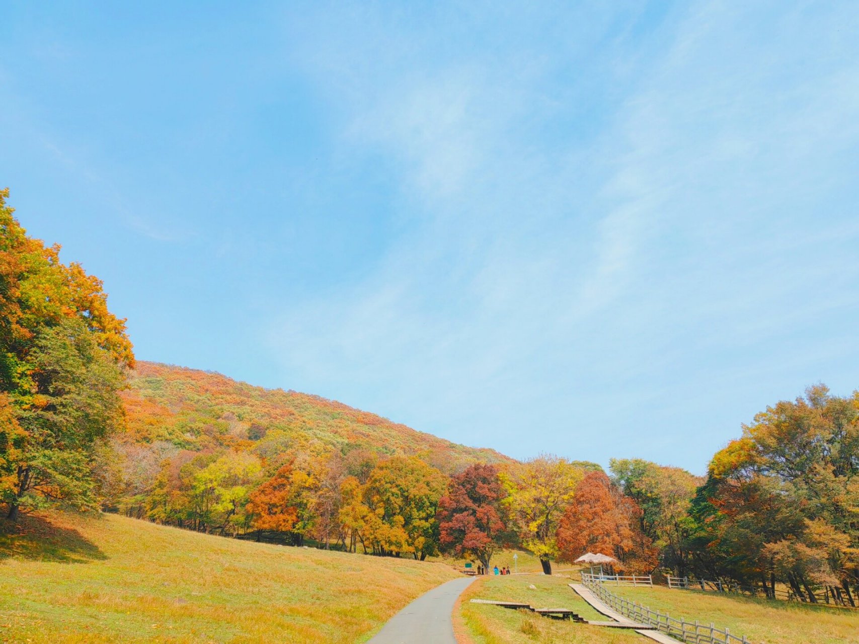 平山鹿苑的秋景 如果只选一组照片来形容秋天,我将选择这里!