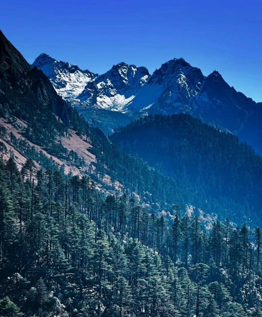 山不见我 ,我自去见山———云南怒江孔雀山 有一种生活叫云南的怒江