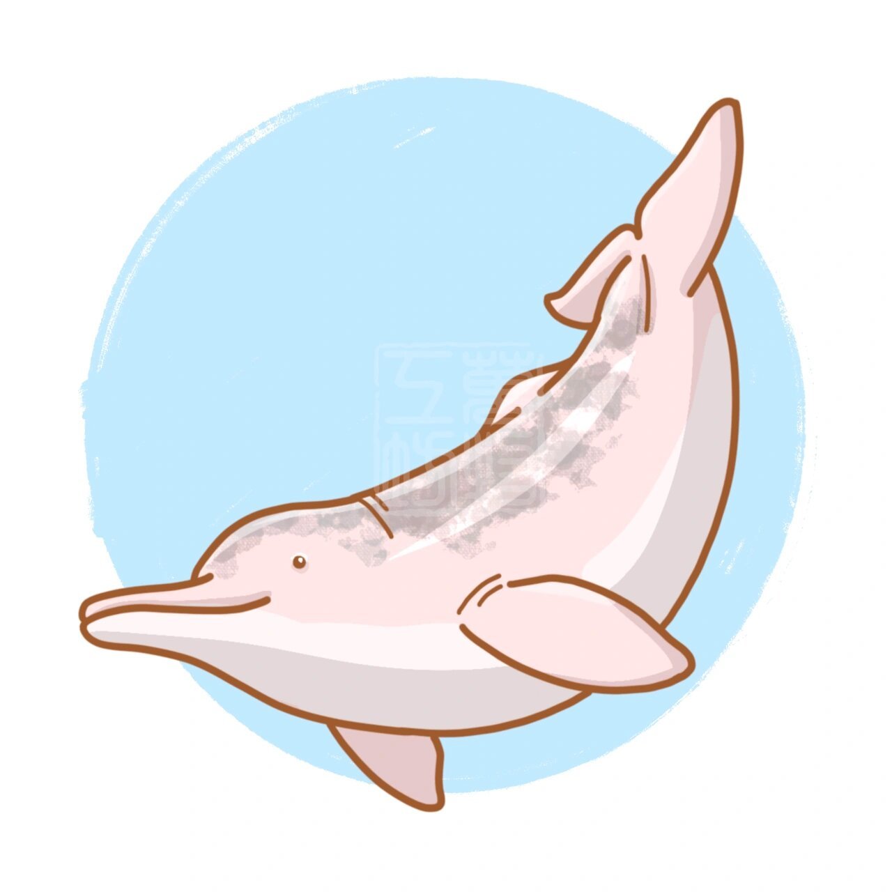 插画|中华白海豚 你最喜欢哪一只呢