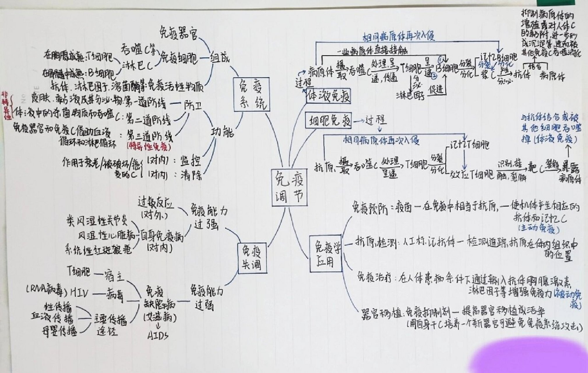 固有免疫思维导图图片