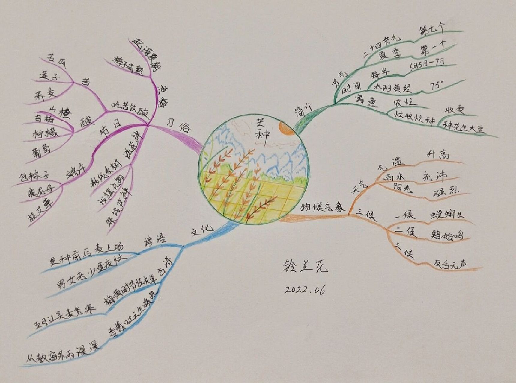 思维导图——芒种 你一定听说过"针尖对麦芒"这句话吧?