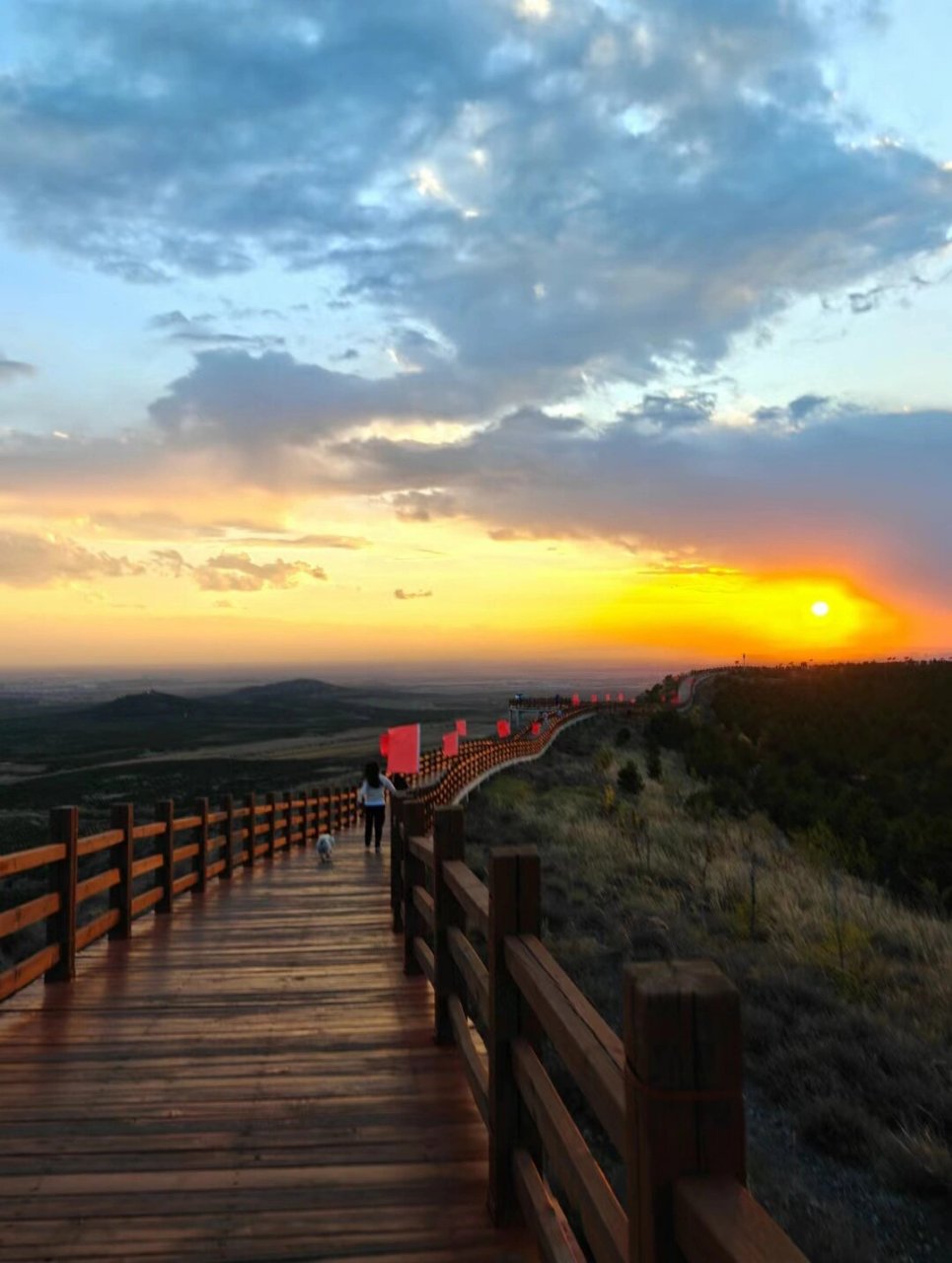 大同火山群国家地质公园半日游 (大同火山地质国家公园)绝对是一个鲜