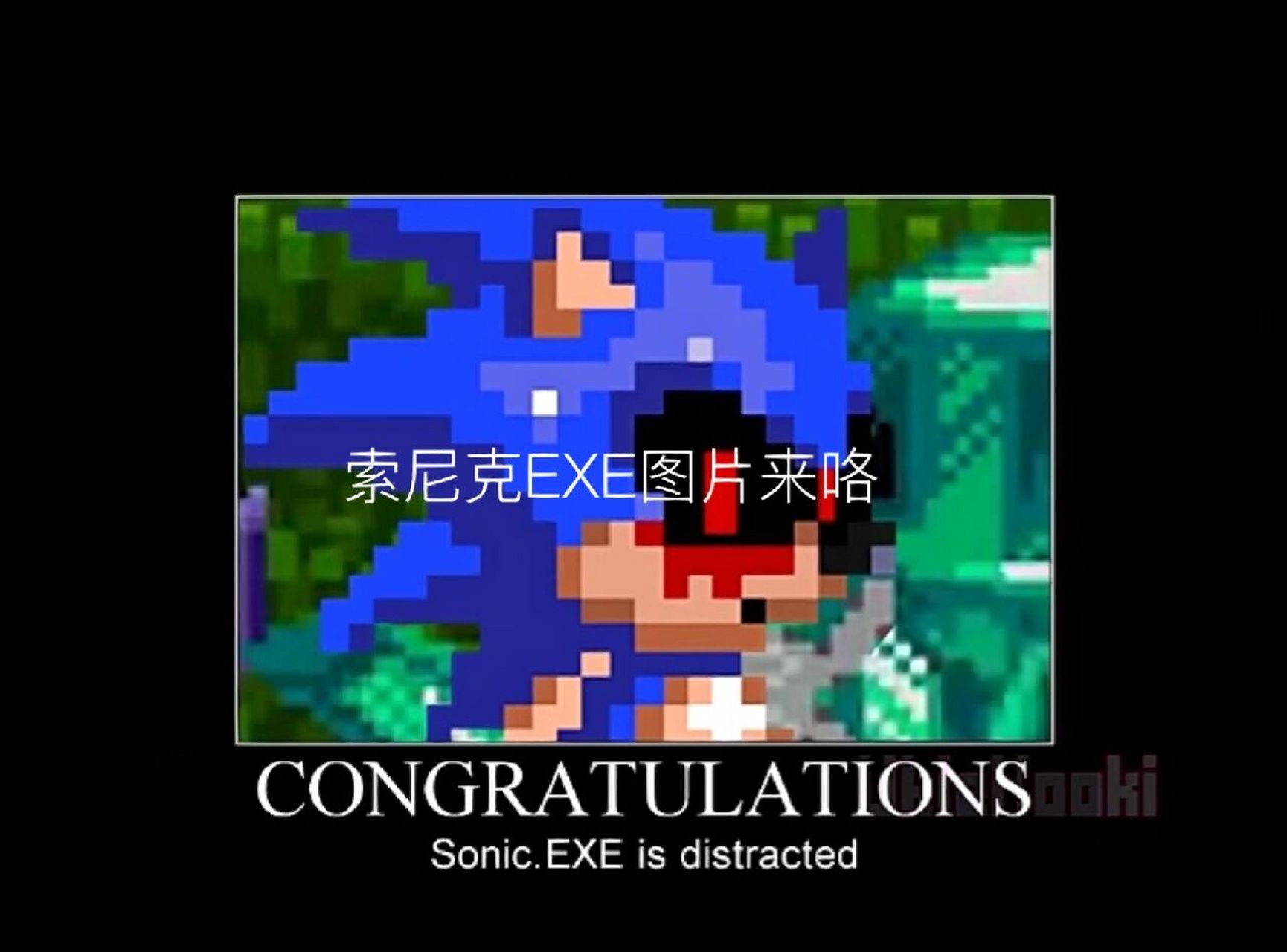 刺猬索尼克exe图集来咯