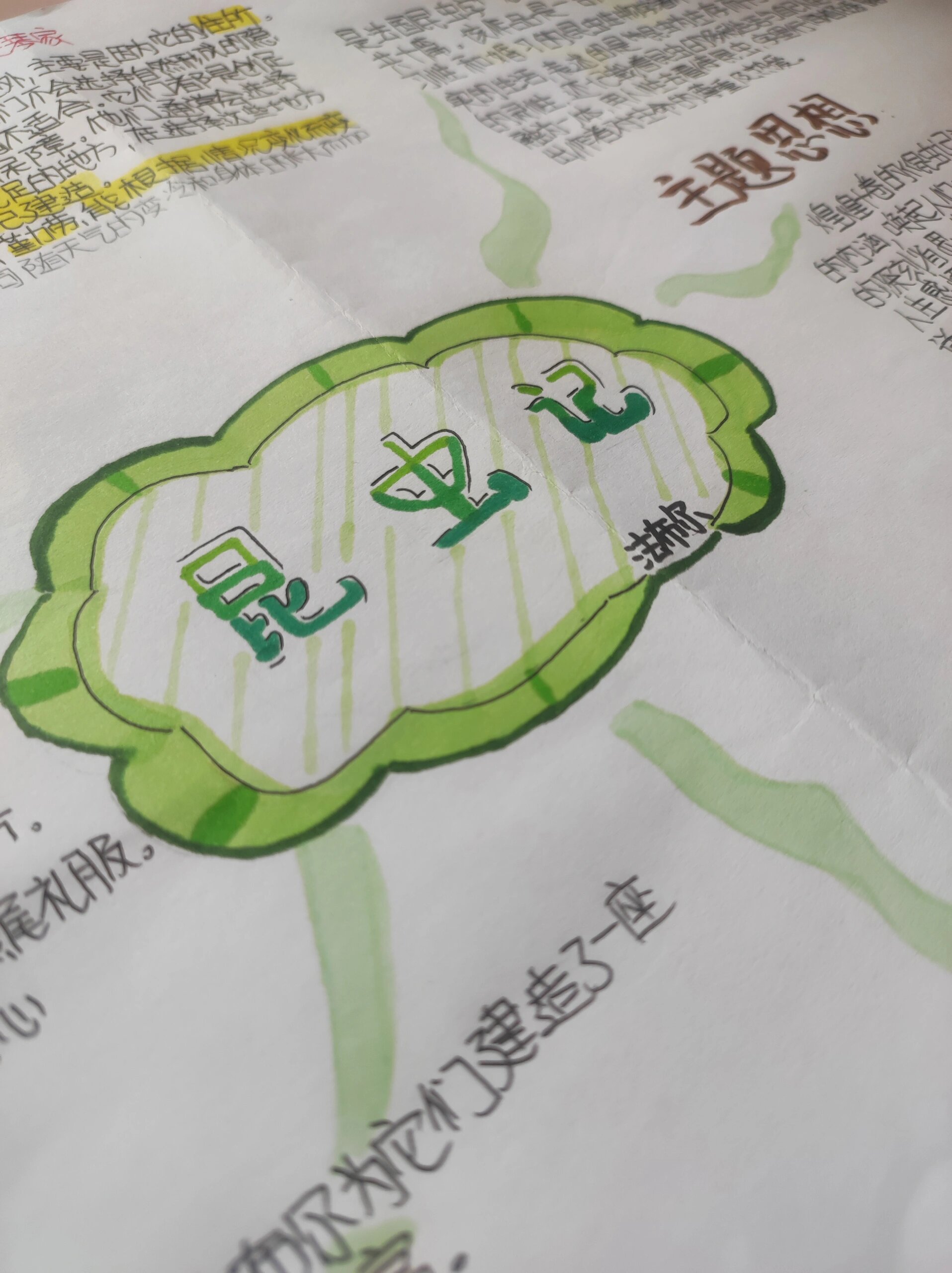 昆虫记思维导图