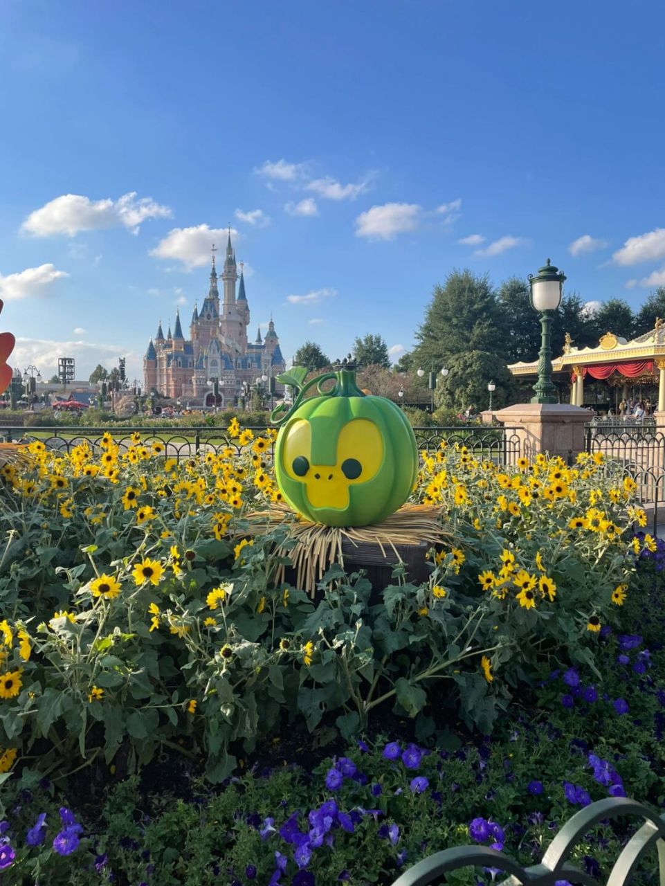 olu太搞笑了92 真的是绿油油#上海迪士尼