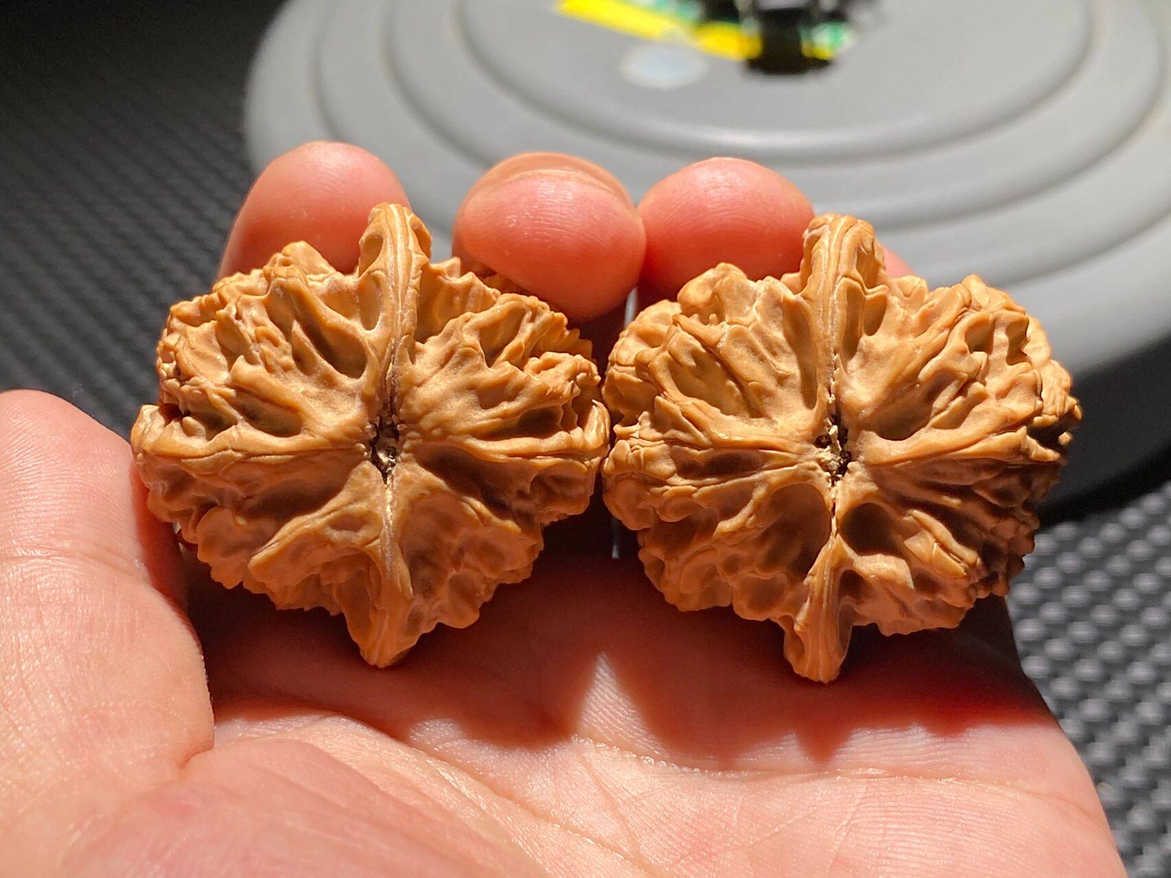 【科普贴】文玩核桃梨木台狮子头 📖:名字的由来 	 梨木台狮子头是