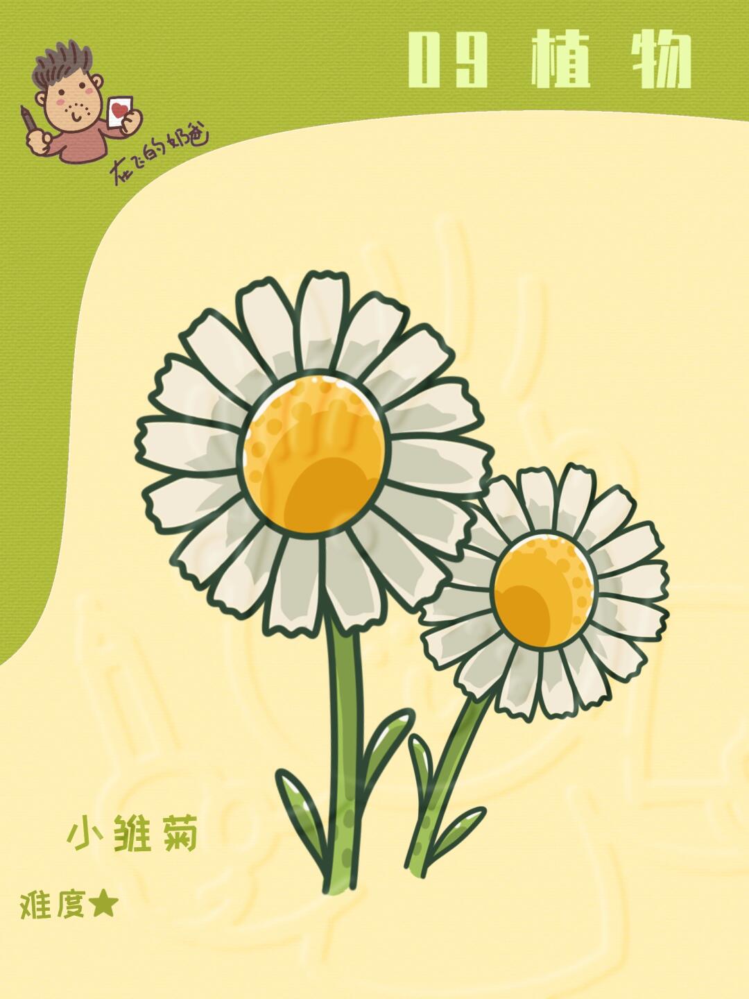 小雏菊 简笔画