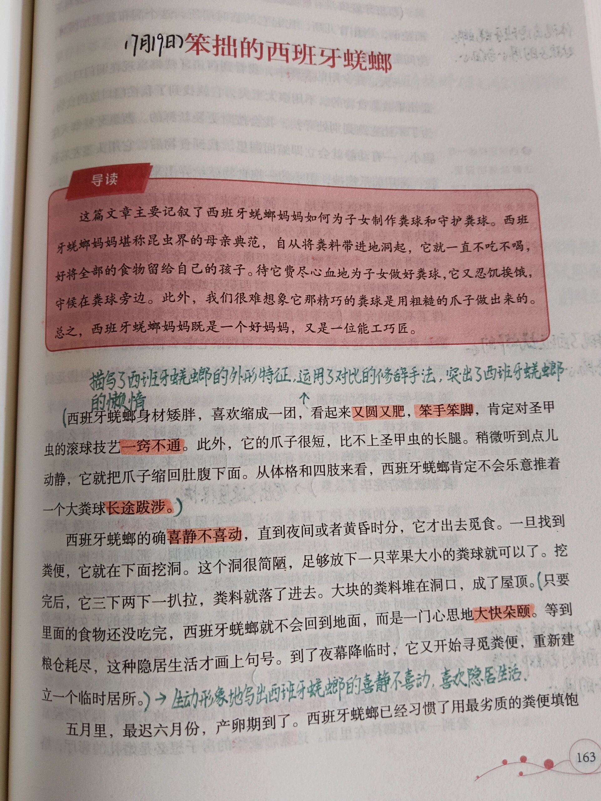 《昆虫记》第二十五章《笨拙的西班牙蜣螂