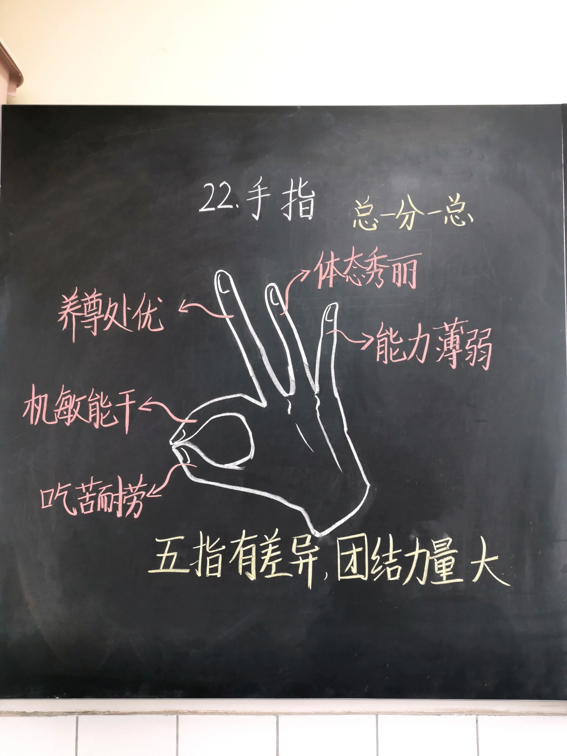 五年级下册语文《手指》板书设计@要乐观呦的动态