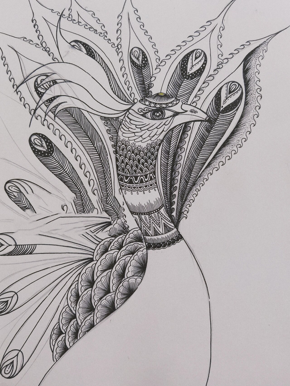 线描画 线描孔雀 黑白线描画(2) 线描孔雀08各种线描元素的创意搭配