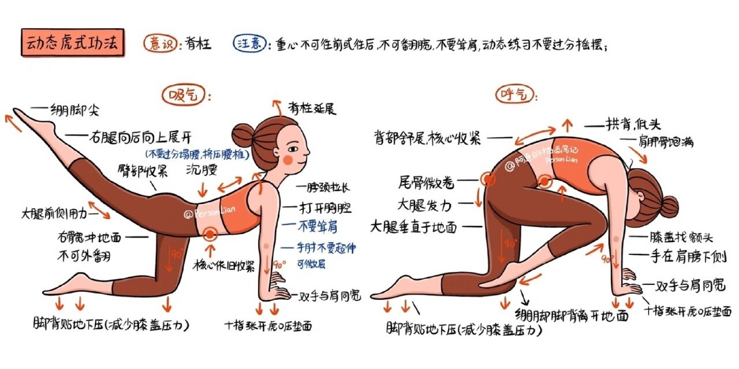 瑜伽虎式图片图片