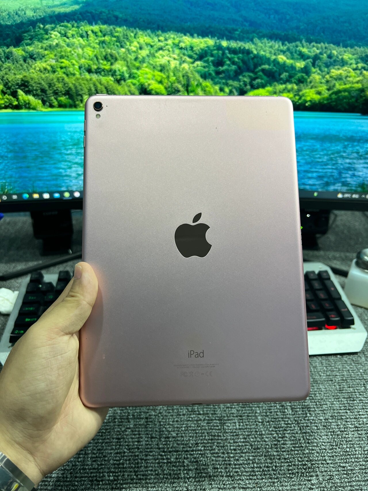 ipad pro9 7寸