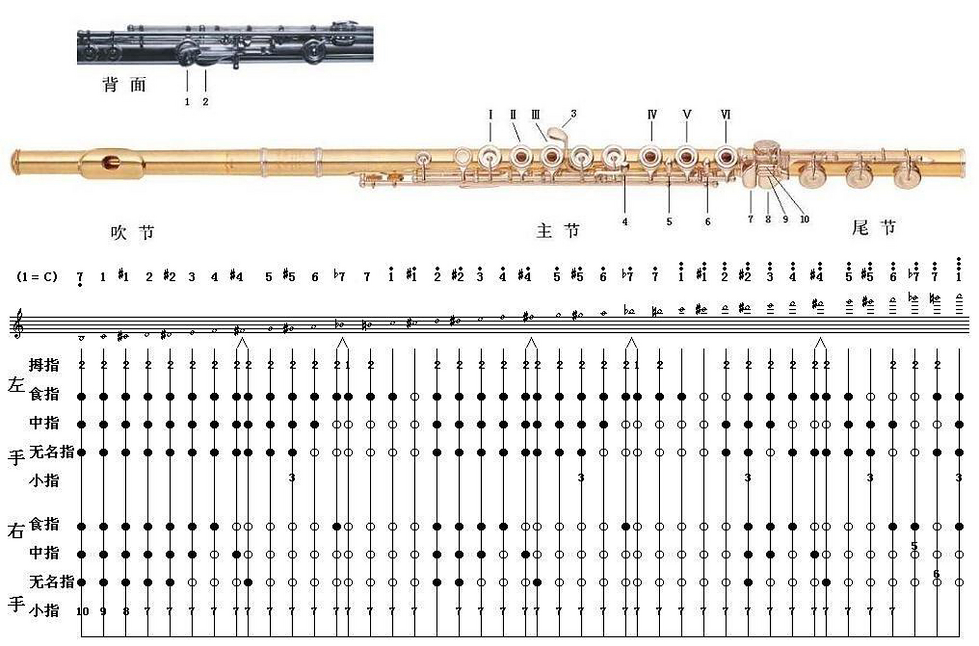 最全长笛指法表 作为一个五六年没有摸长笛了的人来说.