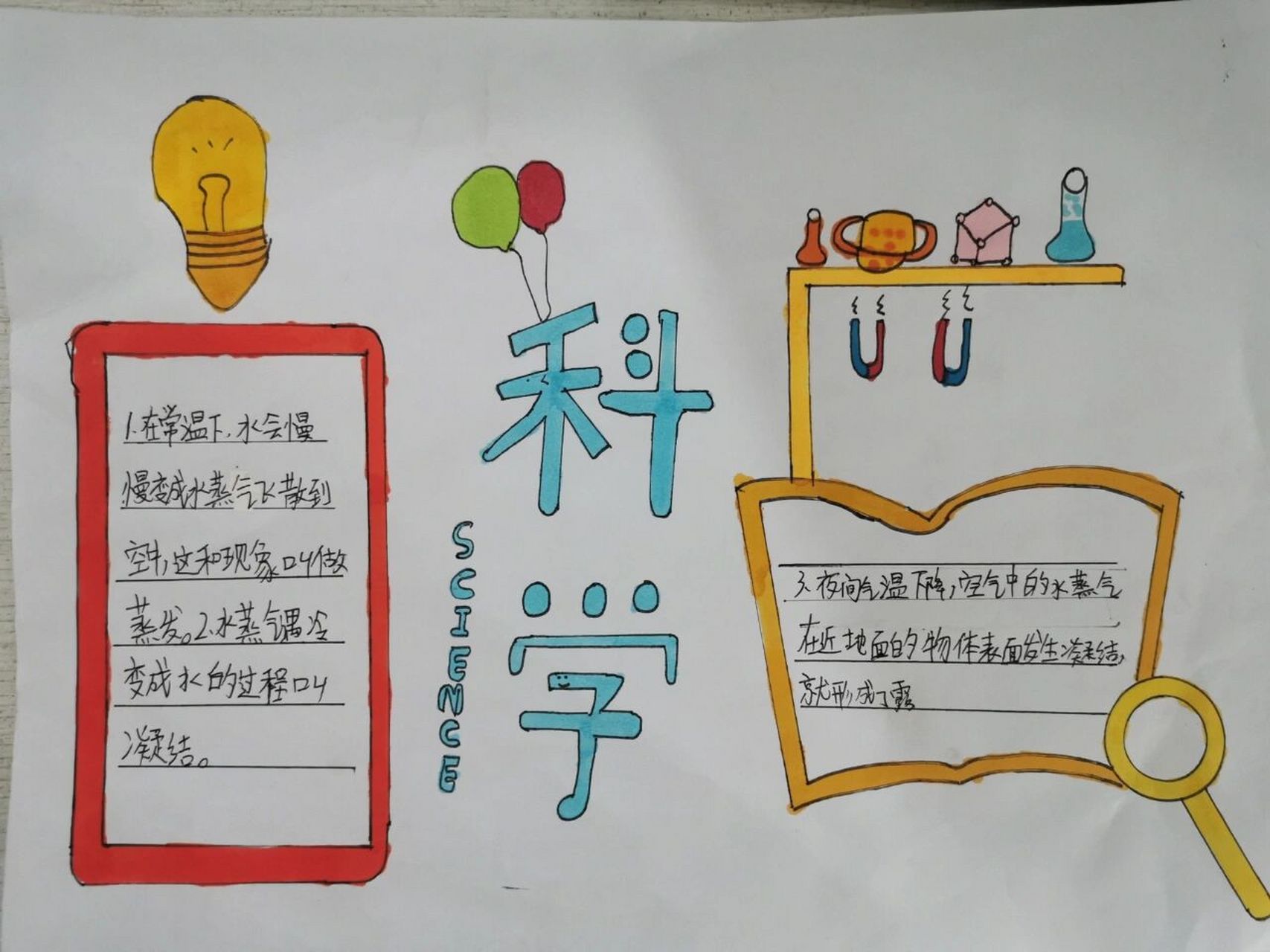 小学科学手抄报 小学生
