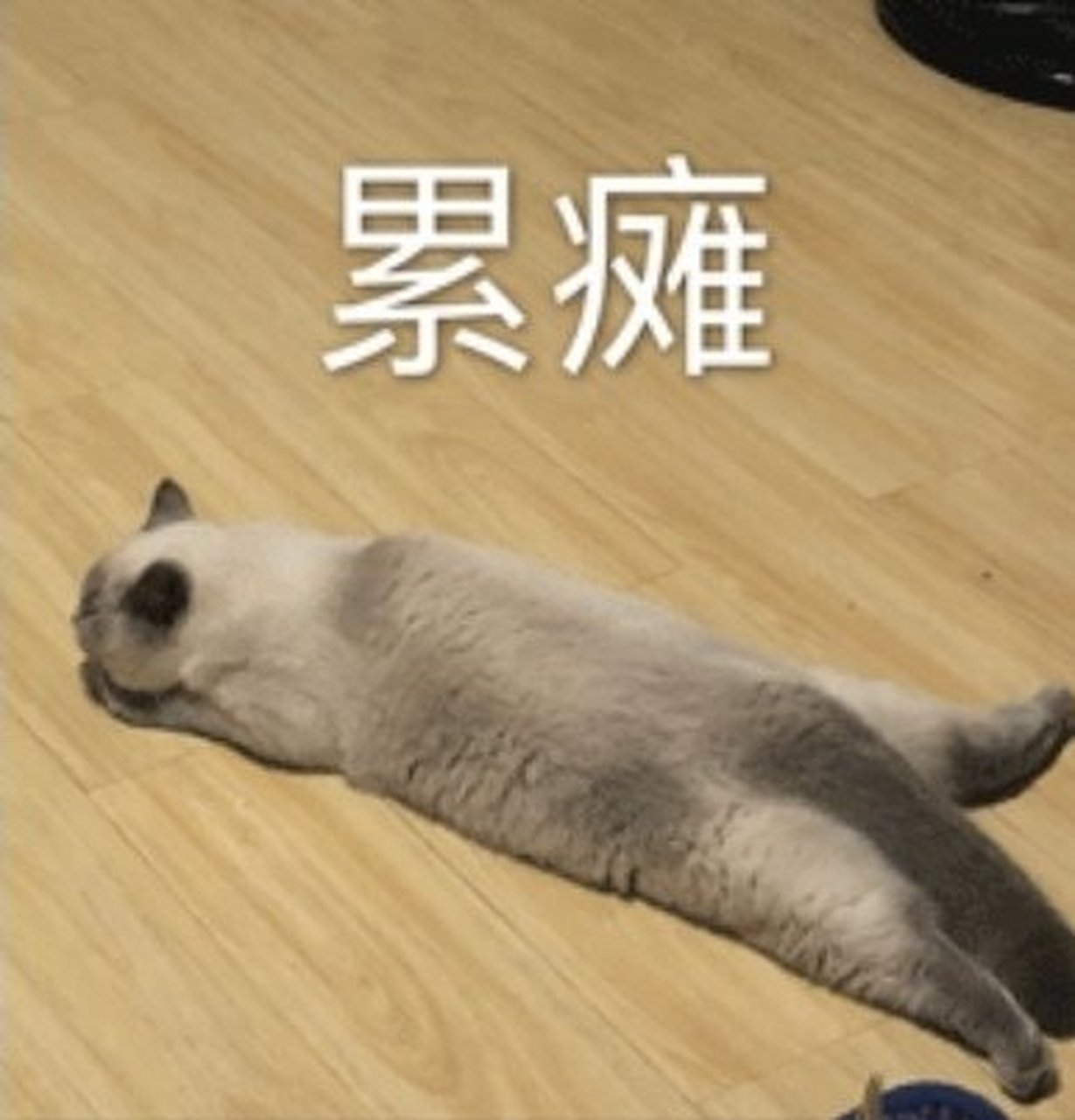 这一天天的,真的很累,如果没有历史记载,我还以为金字塔是我一块一块
