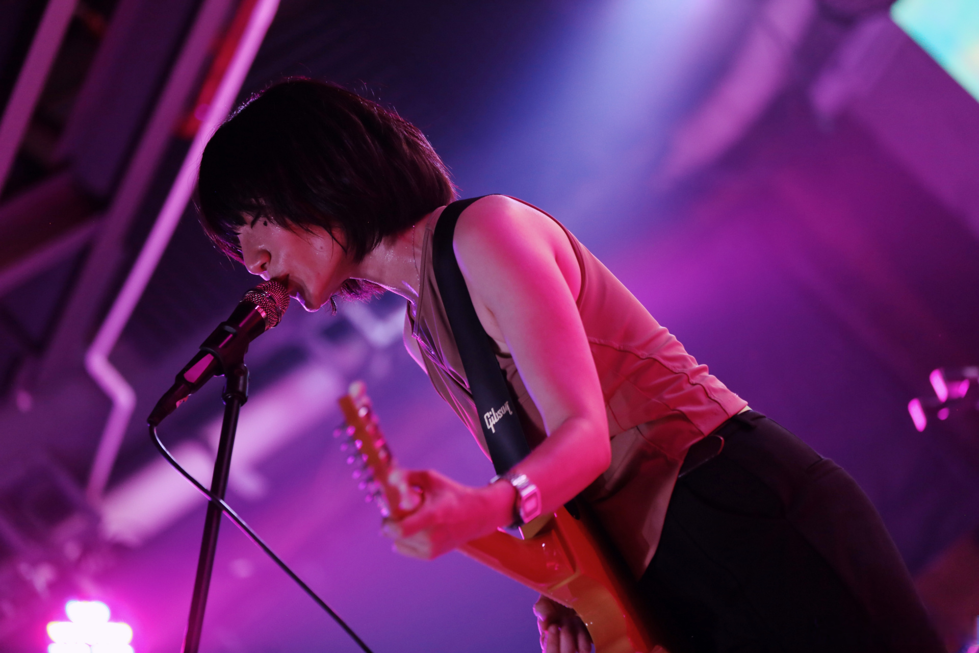 大粉乐队##大粉乐队