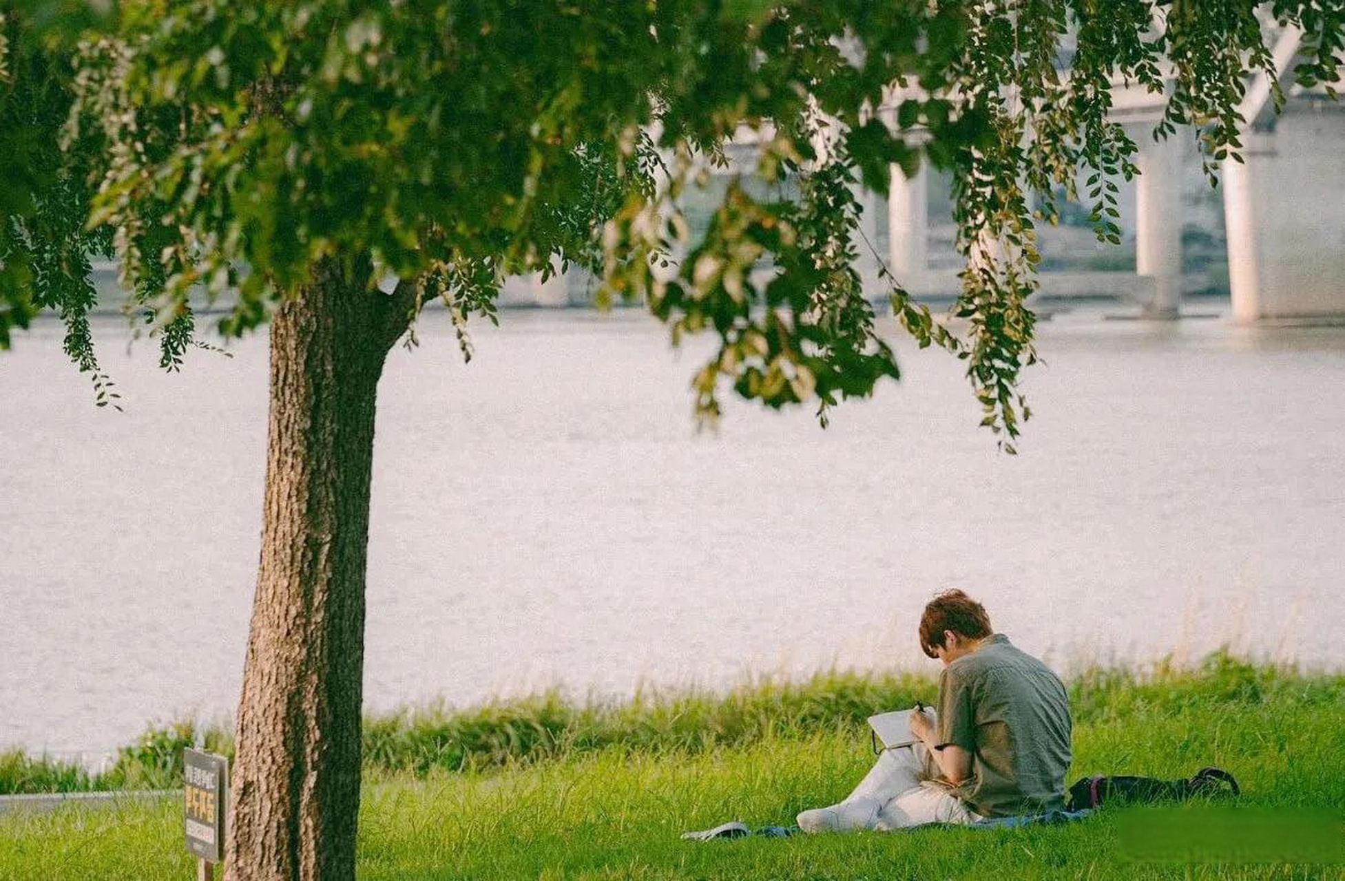 分享一个词"心语",出自文案女王林桂枝的《秒赞》一书.