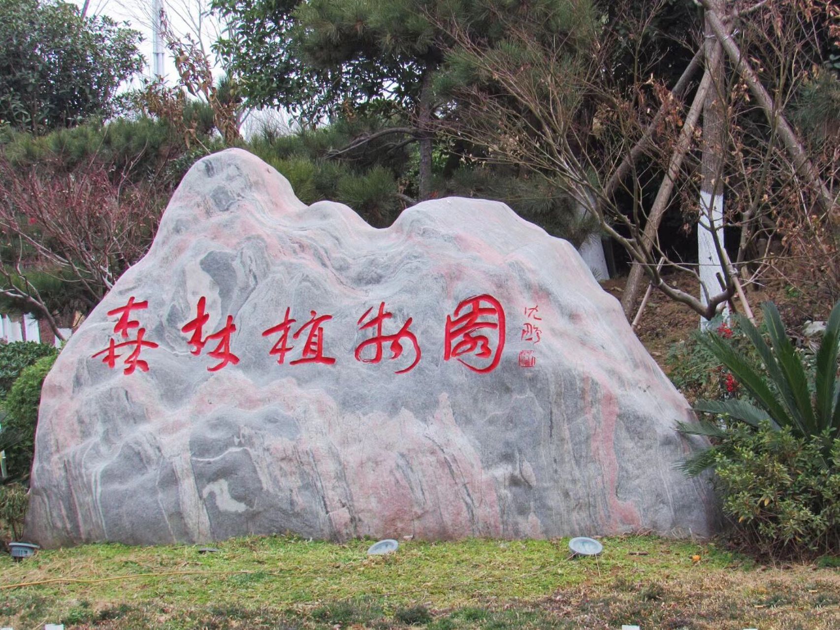 羊山森林植物园图片