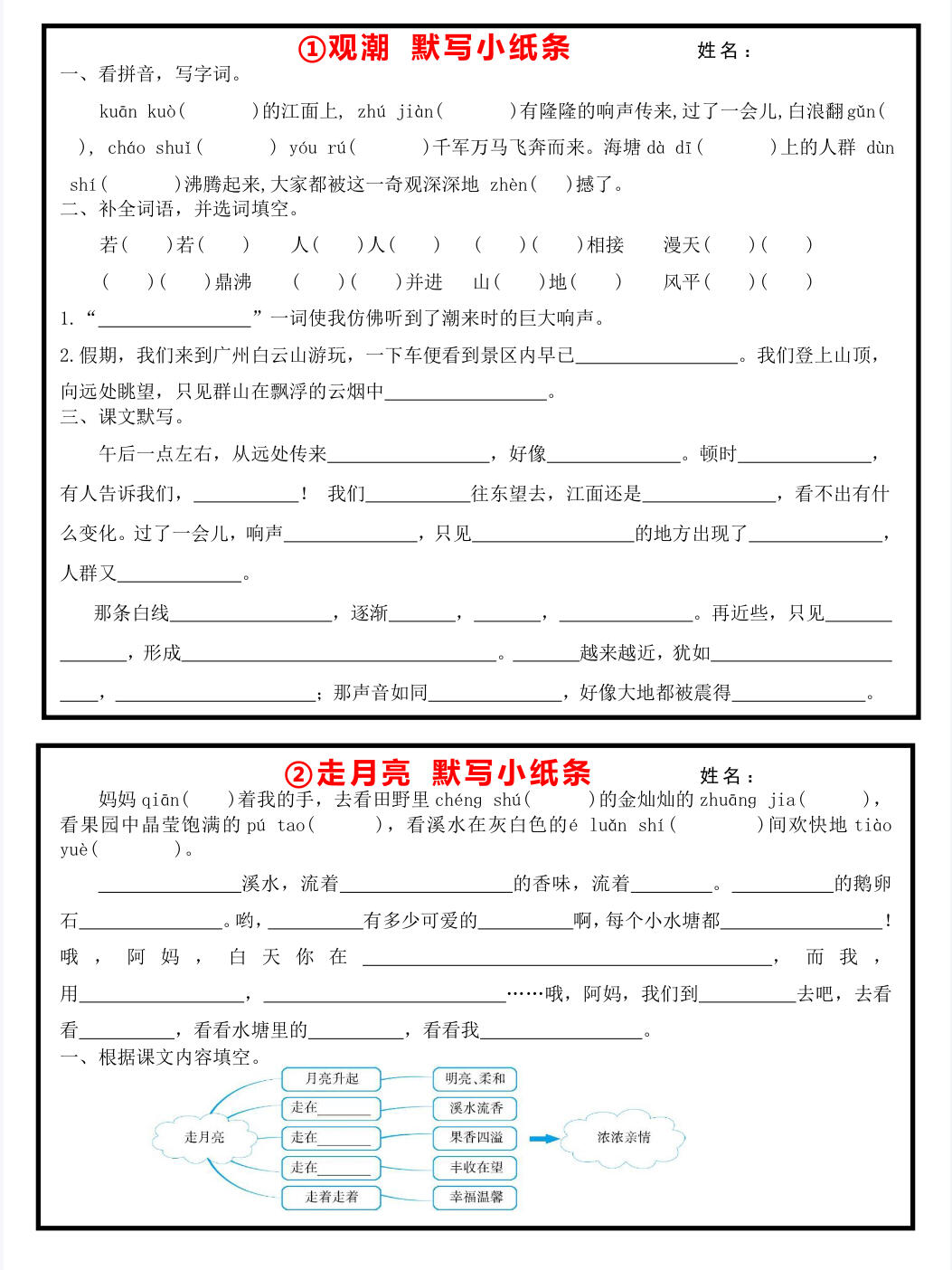 25年秋人教版生物默写写纸条(答案版)