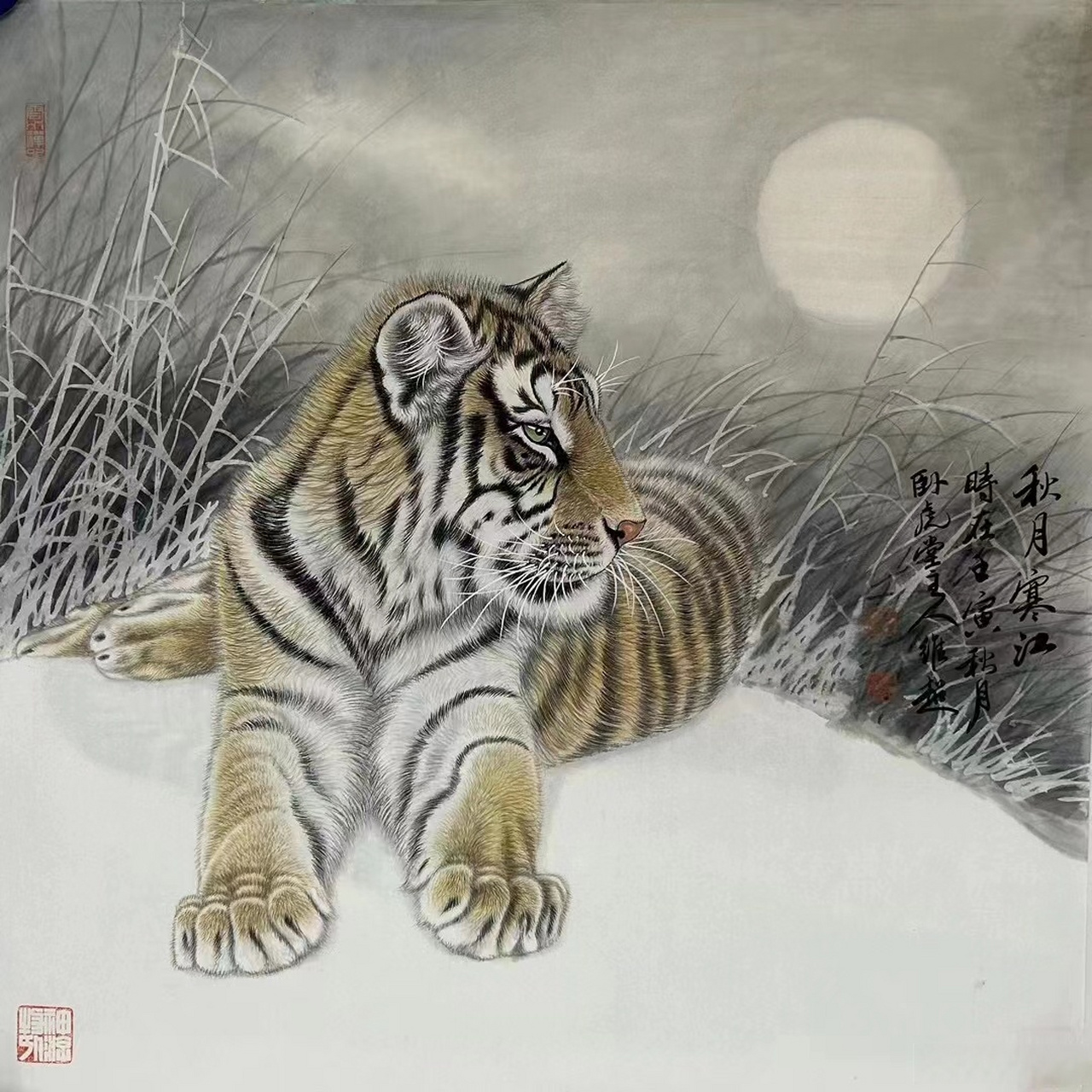 吕维超,斗方工笔虎#艺术##国画