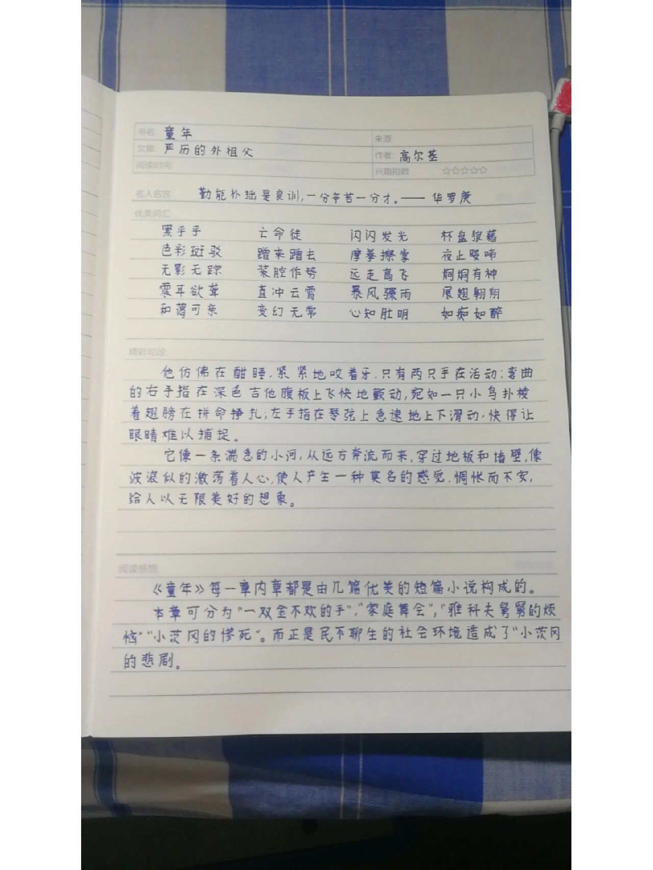 《童年》人物描写摘抄大全75字及理由(童年人物描写摘抄大全75字及理由作文)