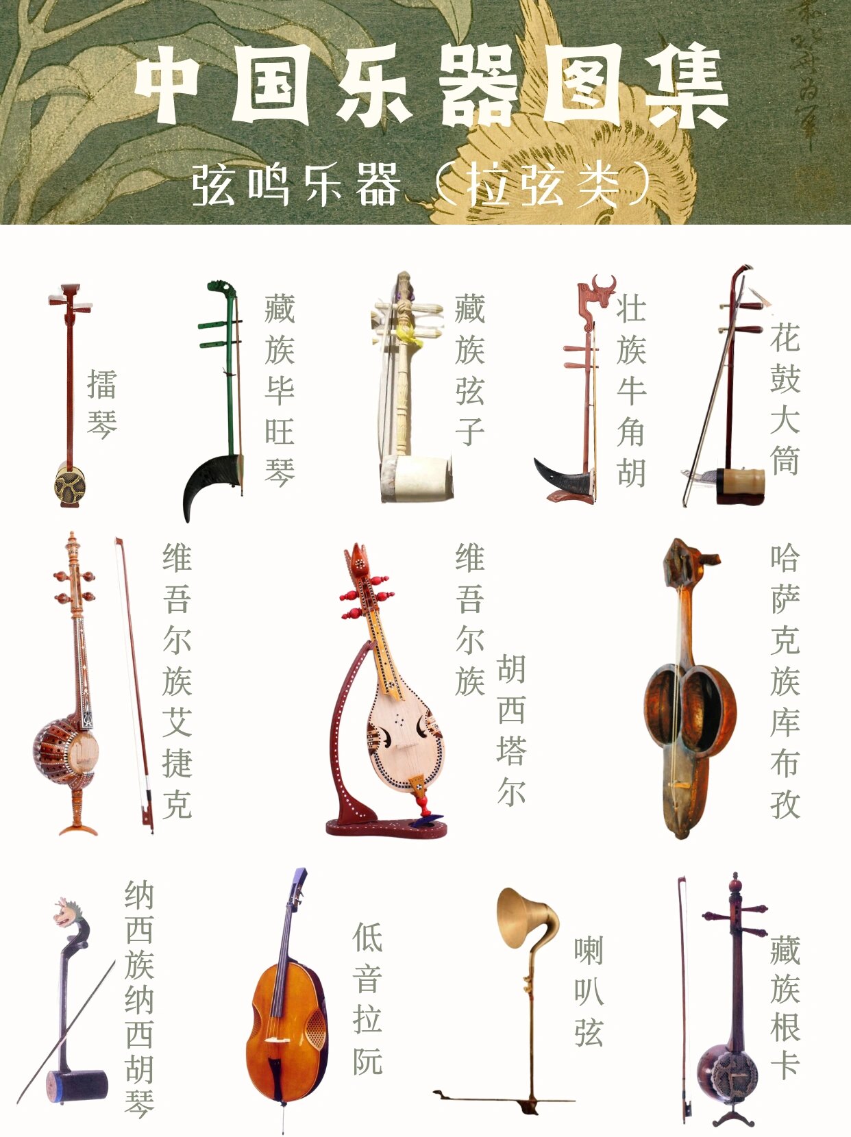 中华民乐合集,你认识哪些乐器