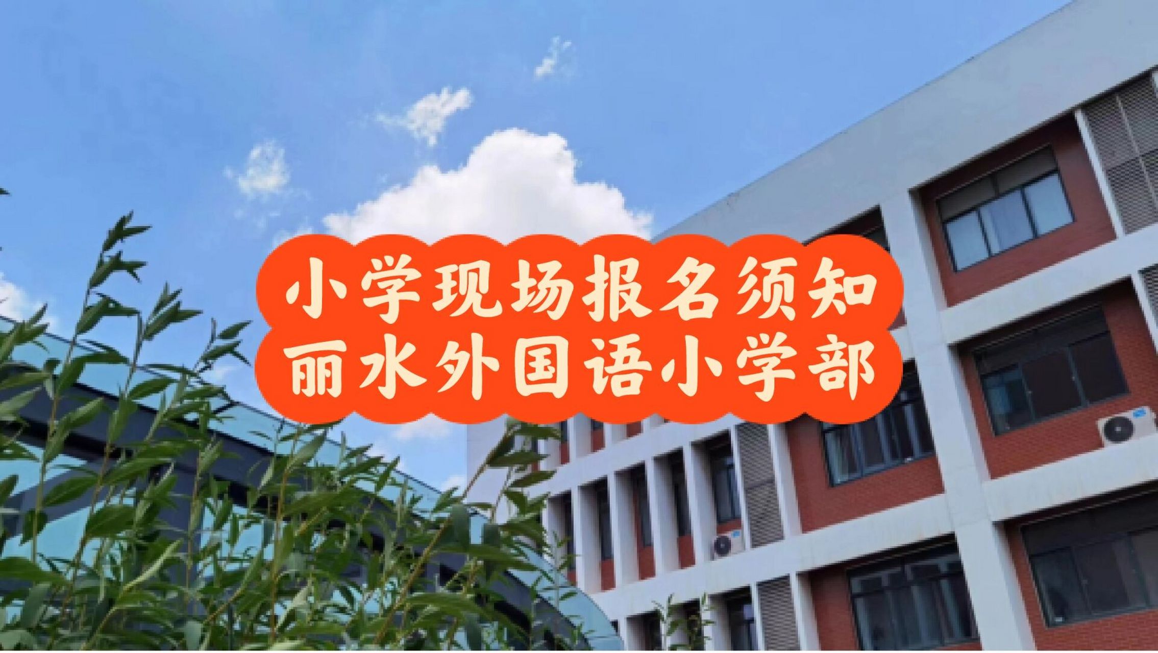 丽水外国语小学图片