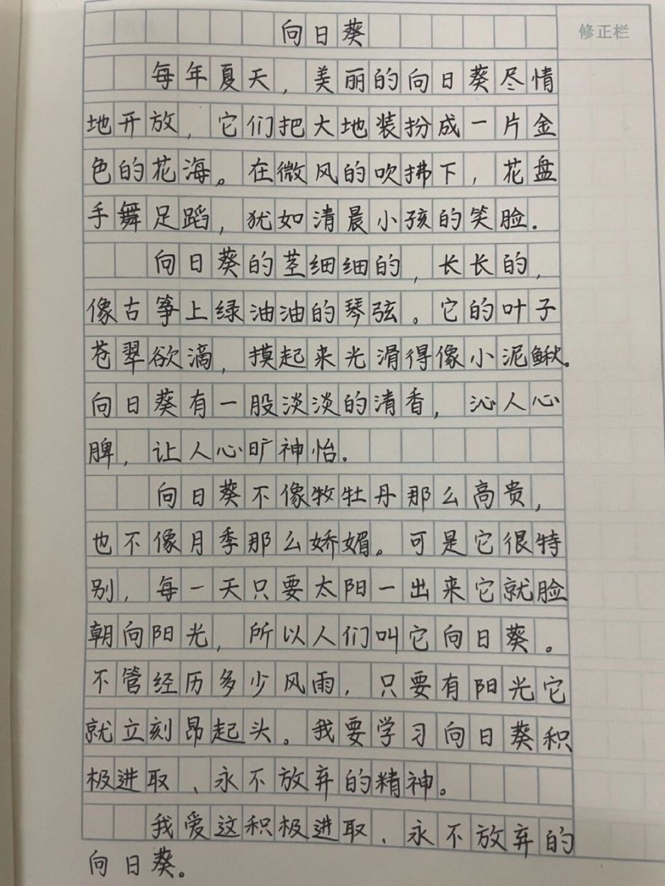 三,四年级习作练习《向日葵》描写 三,四年级习作练习《向日葵》描写