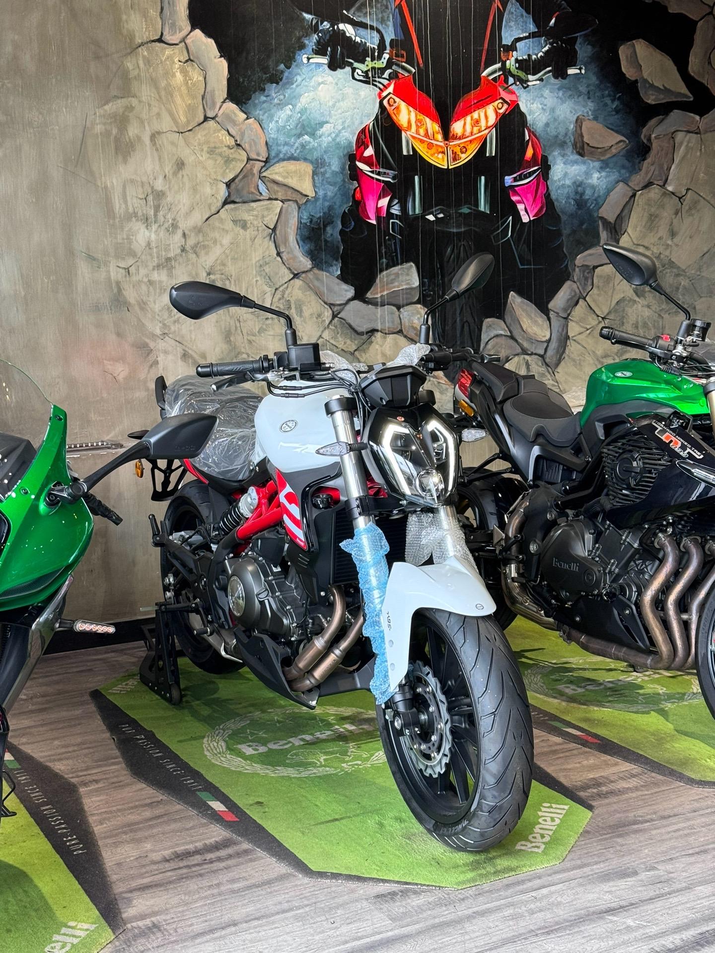 贝纳利302s 黄龙300