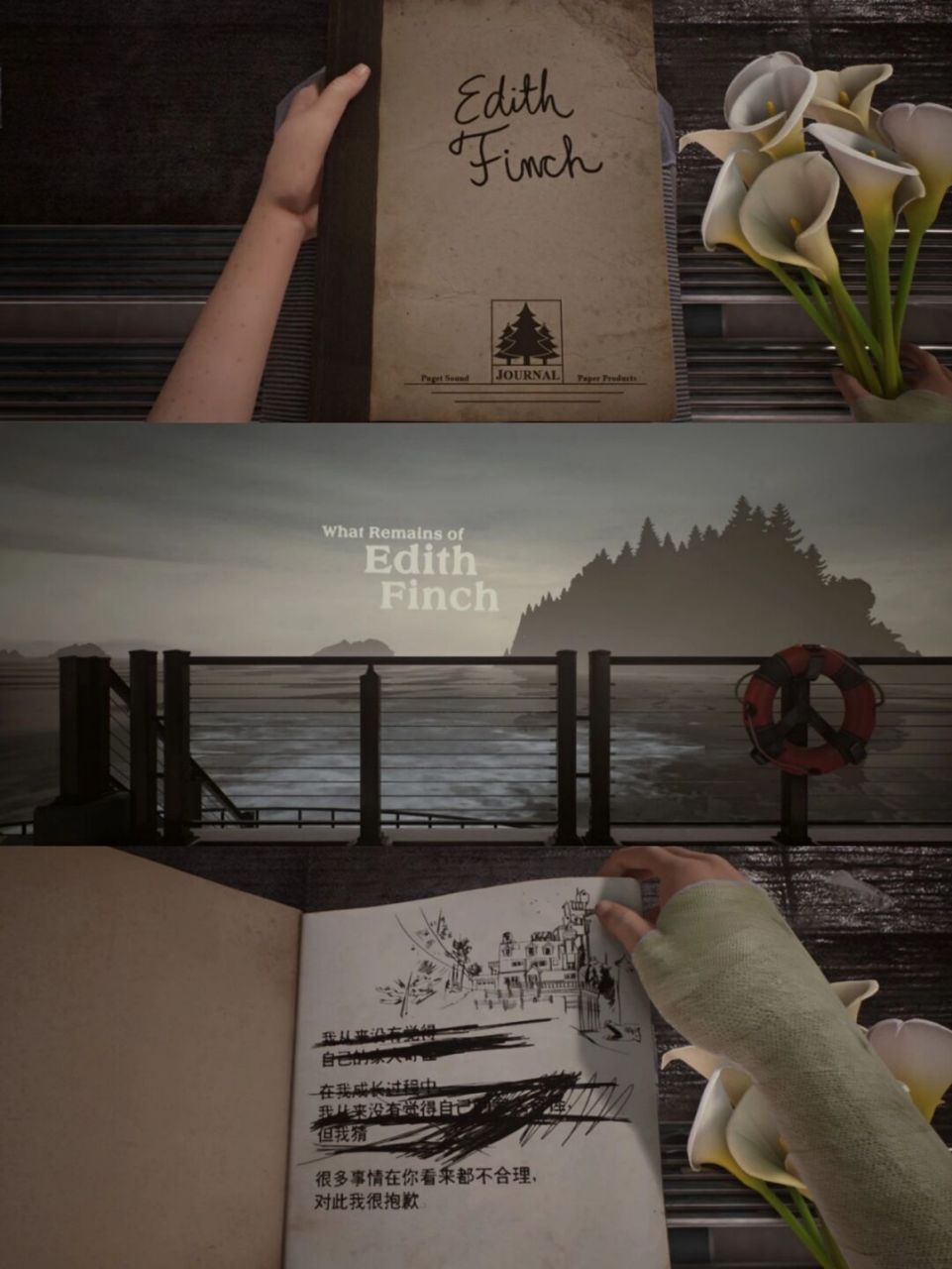 久仰《what remains of edith finch》大名,2017年的最佳游戏叙事奖.