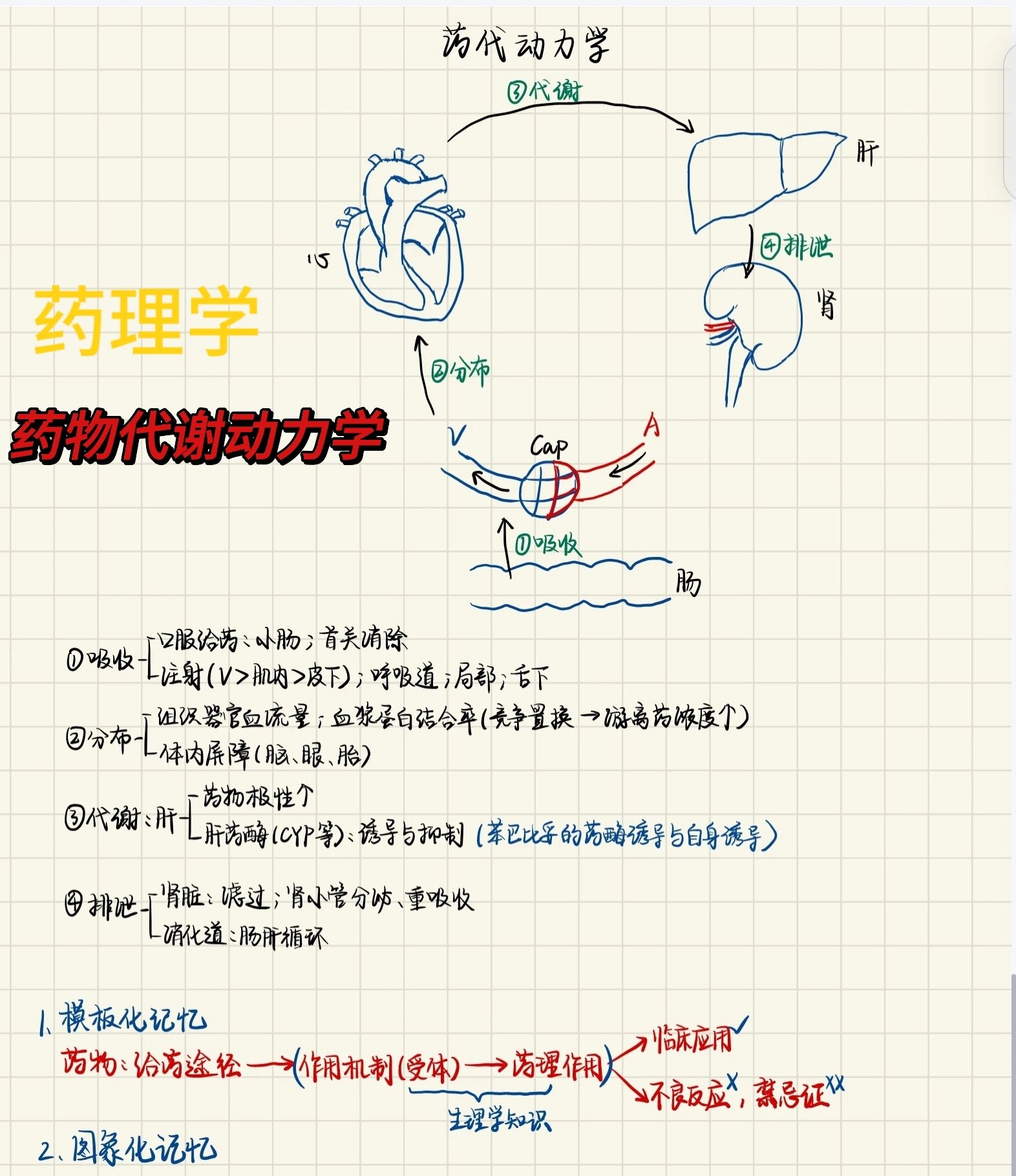 药理学图片表情包图片