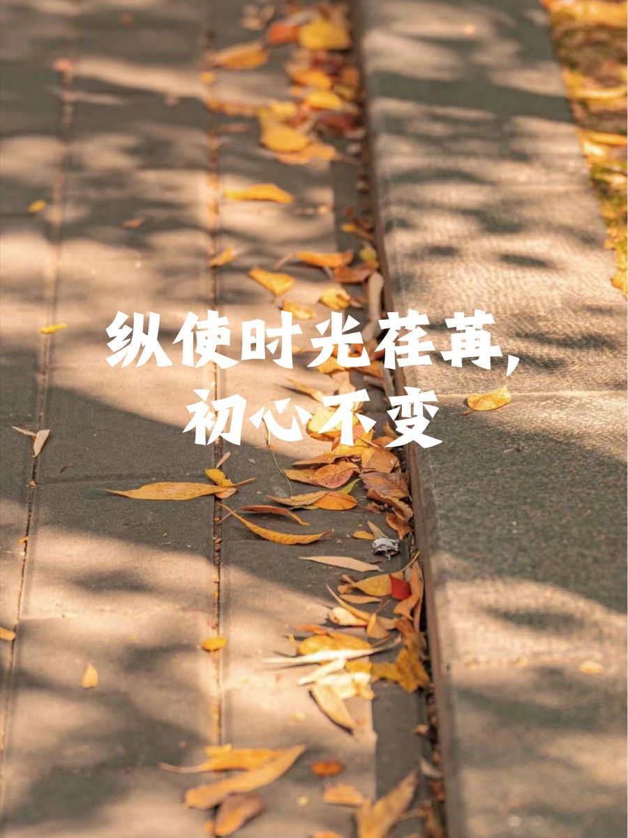 初心不变英语怎么写的(初心不变英语怎么写的呀)