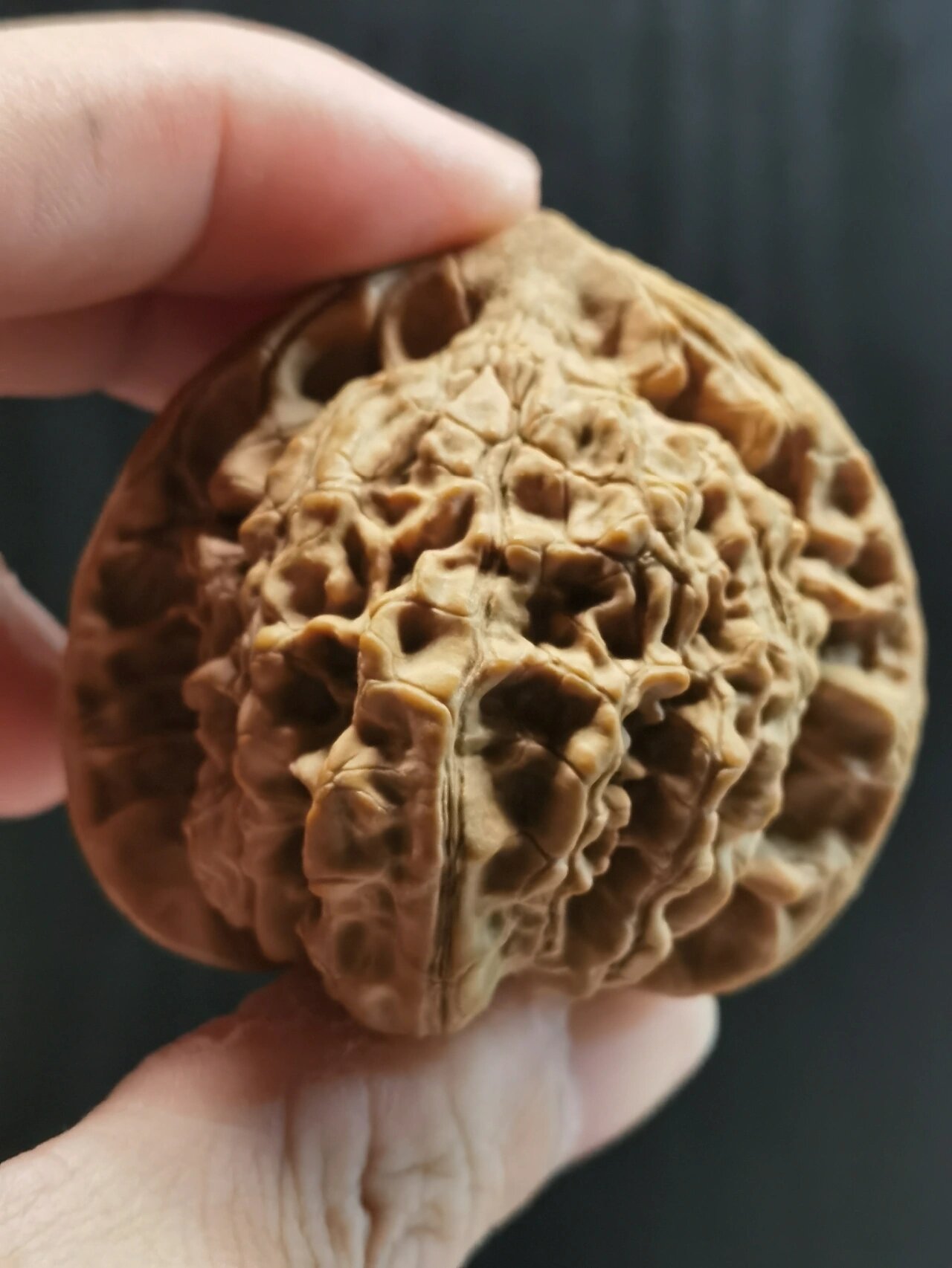 《麒麟纹官帽