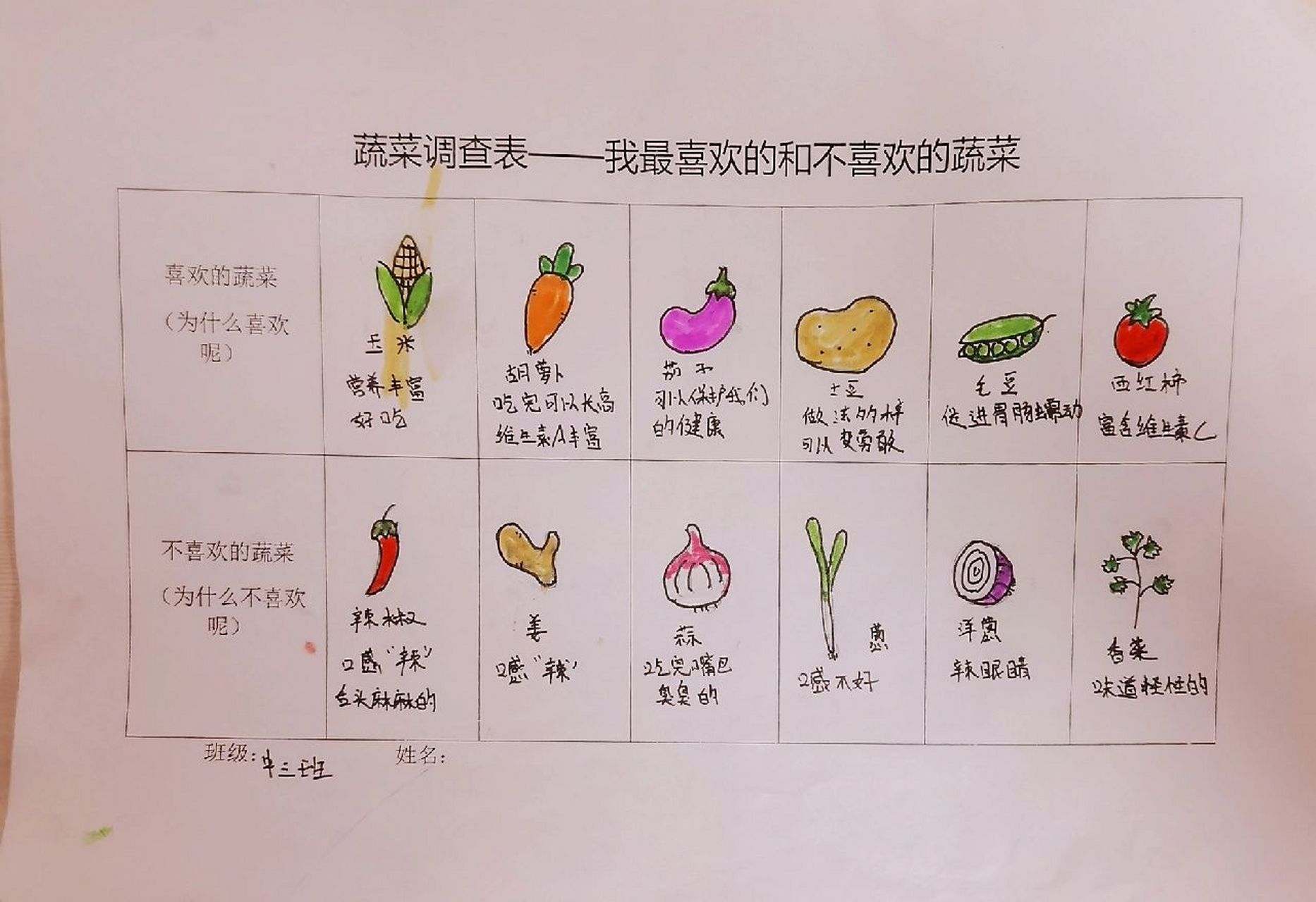 幼儿园蔬菜调查表 这样的幼儿作业,可还可以?