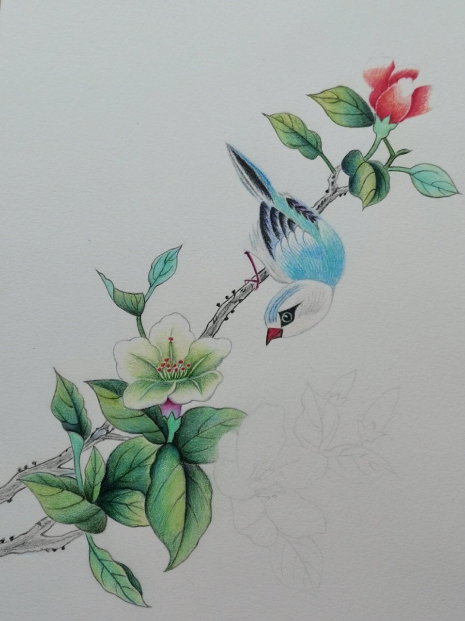 彩铅画(61)鸟语花香 临摹春堂书画老师的作品.感谢分享!