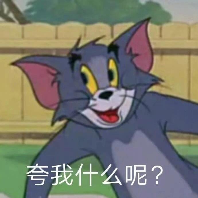 猫和老鼠表情包之傲娇汤姆97