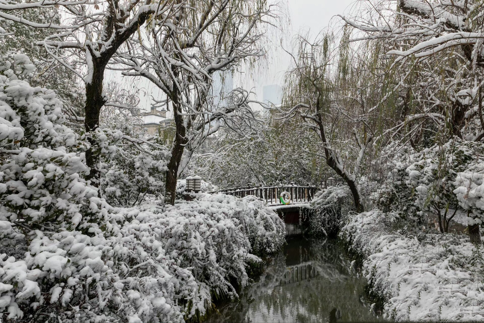 绿城桂花城图片