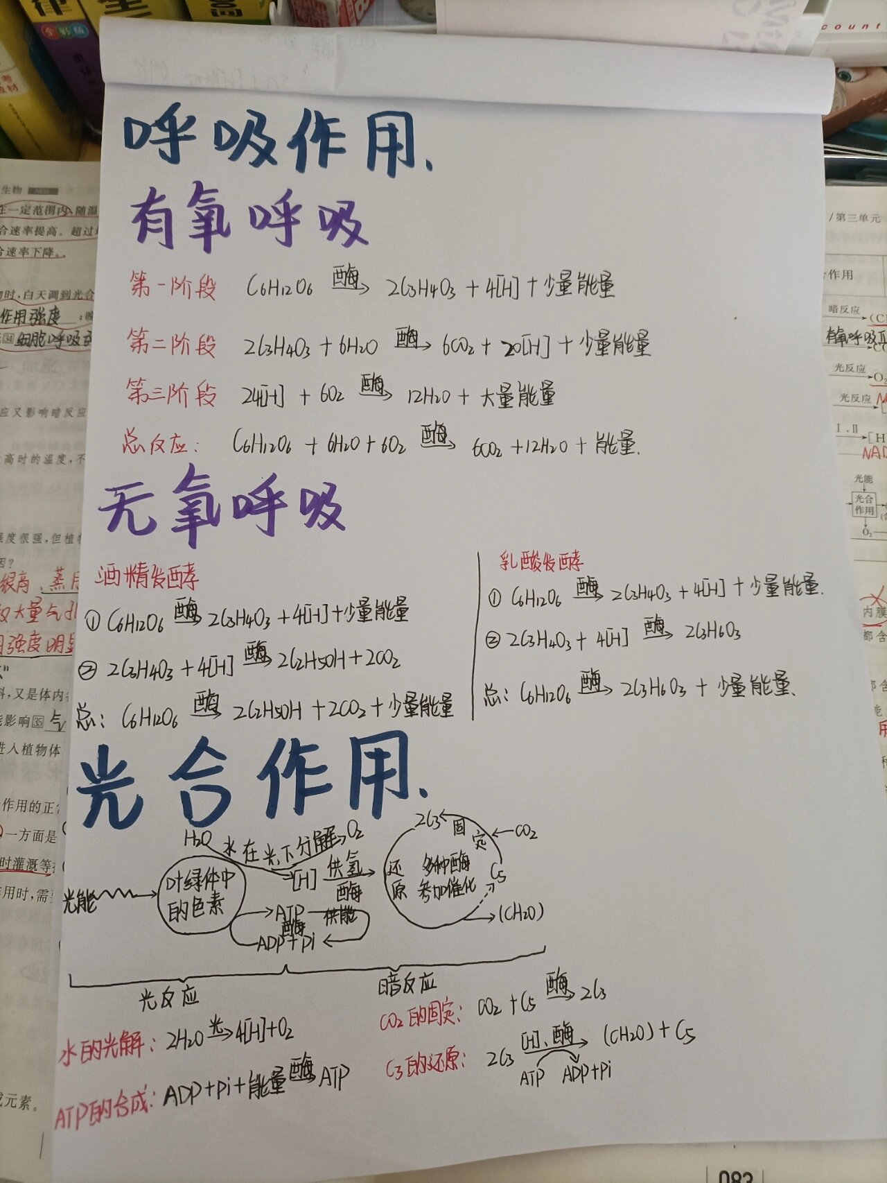 学习碎片/ 呼吸作用和光合作用的反应方程式