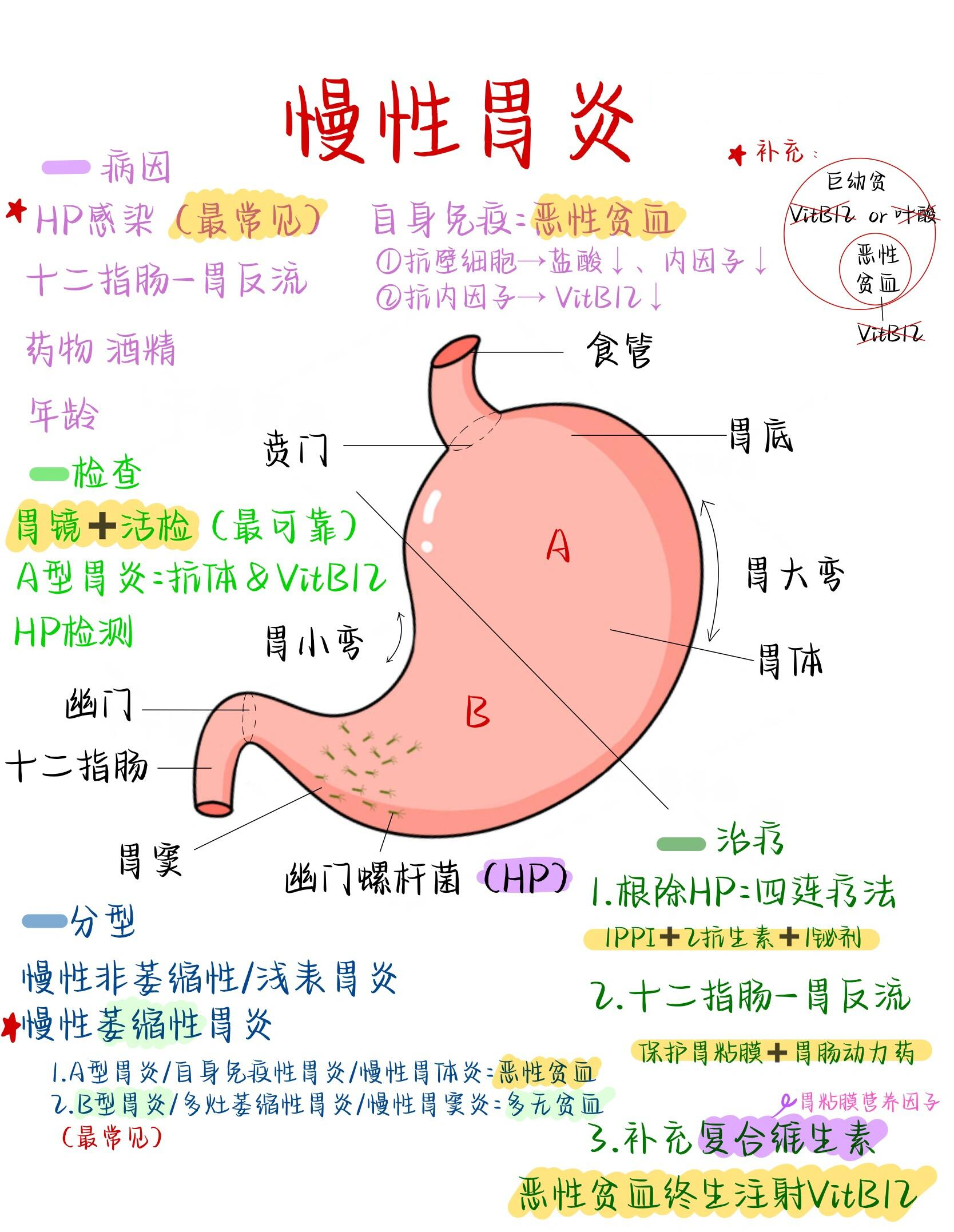 重度慢性浅表性胃炎图片