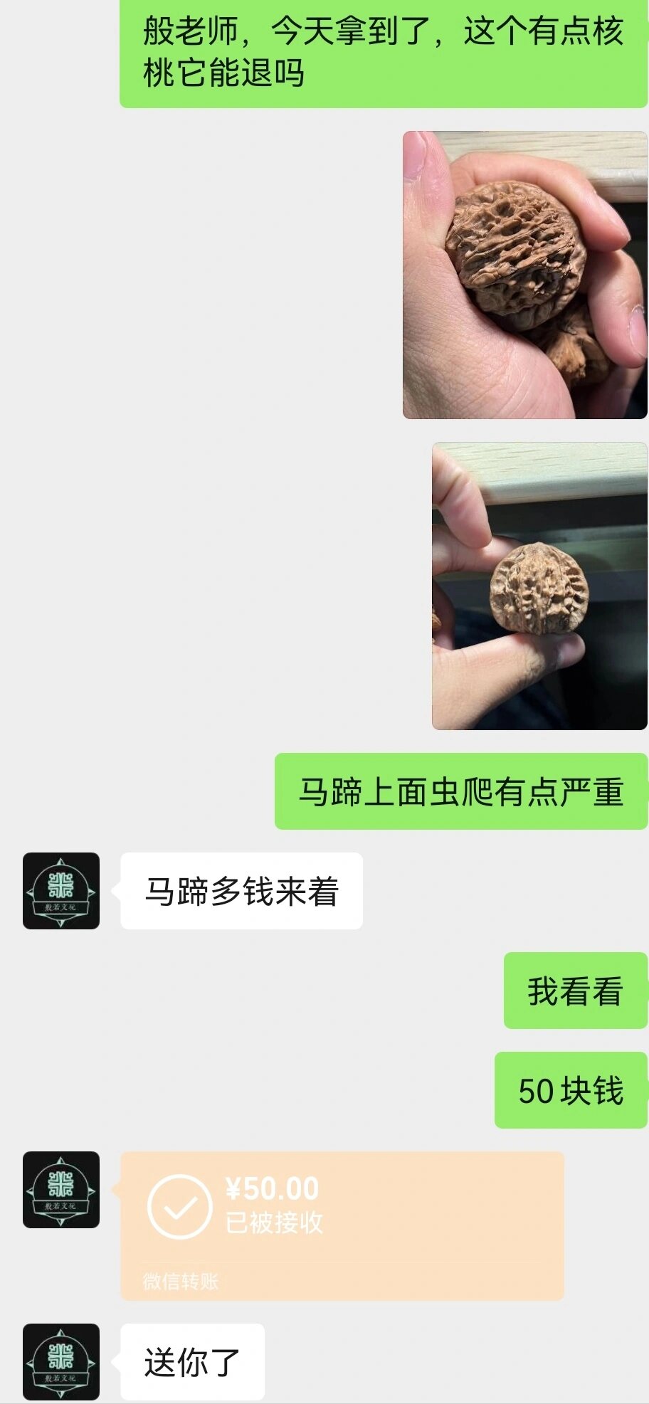 核桃虫的图片功效图片图片