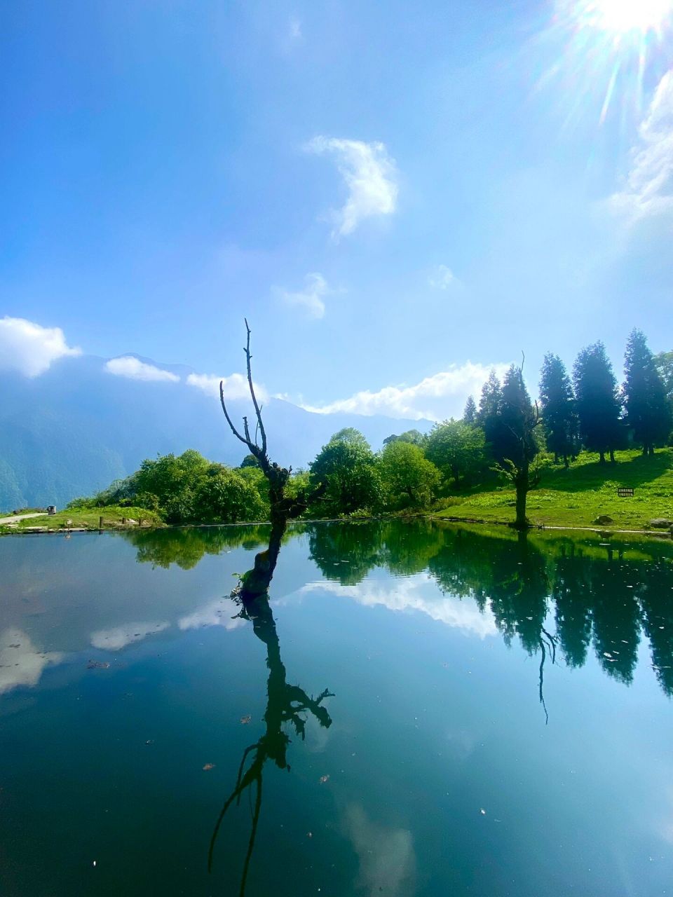 峨边彝族自治县自驾游  089715「黑竹沟景区1号称"中国百慕大"